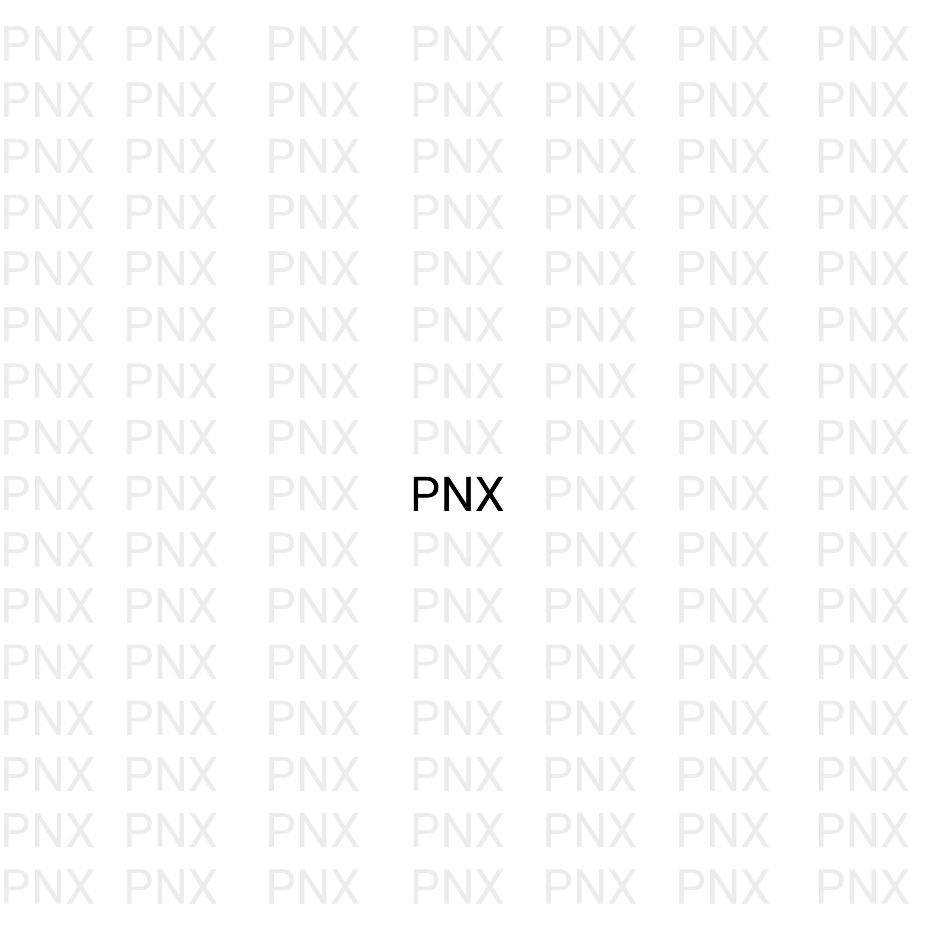 Постер альбома Pnx