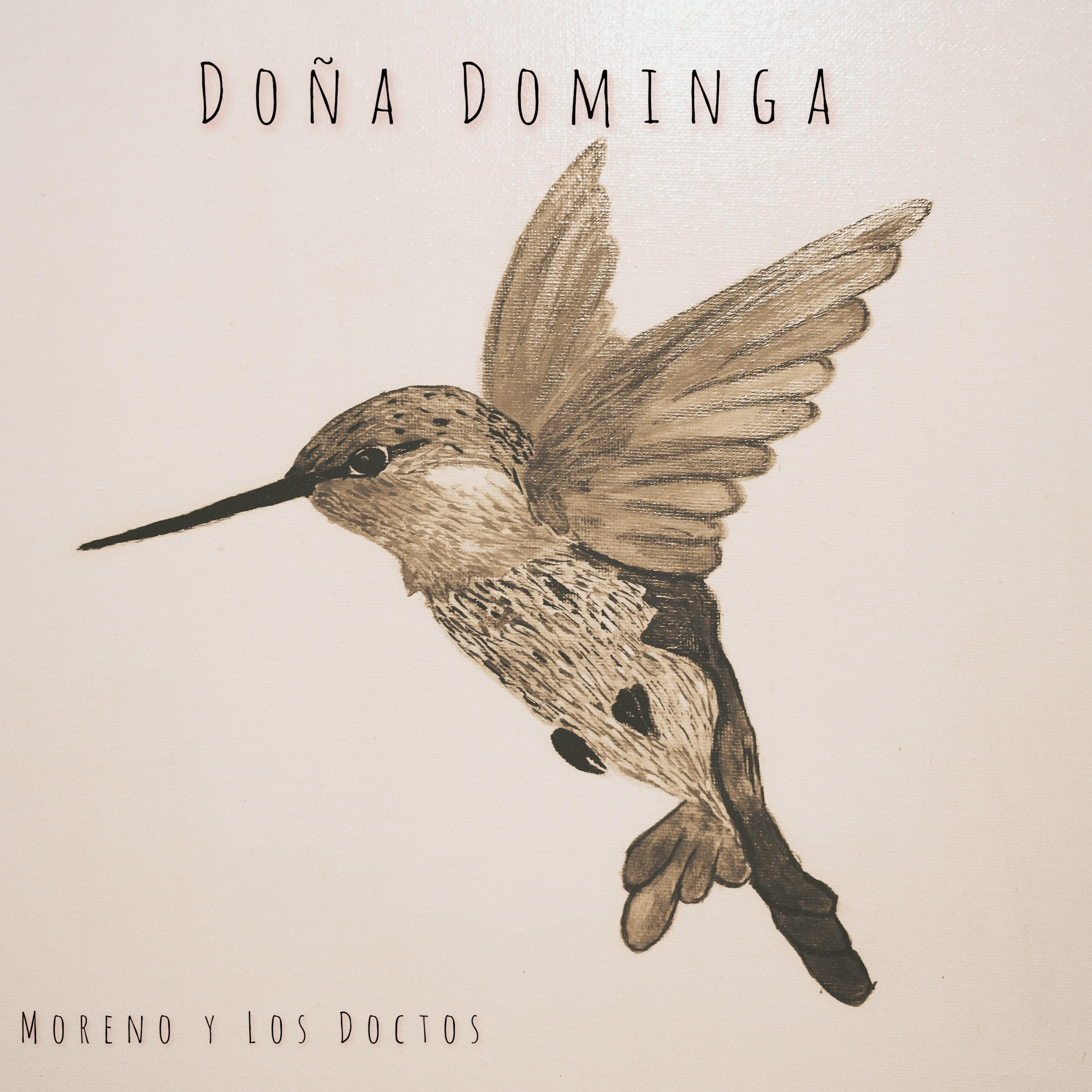 Постер альбома Doña Dominga