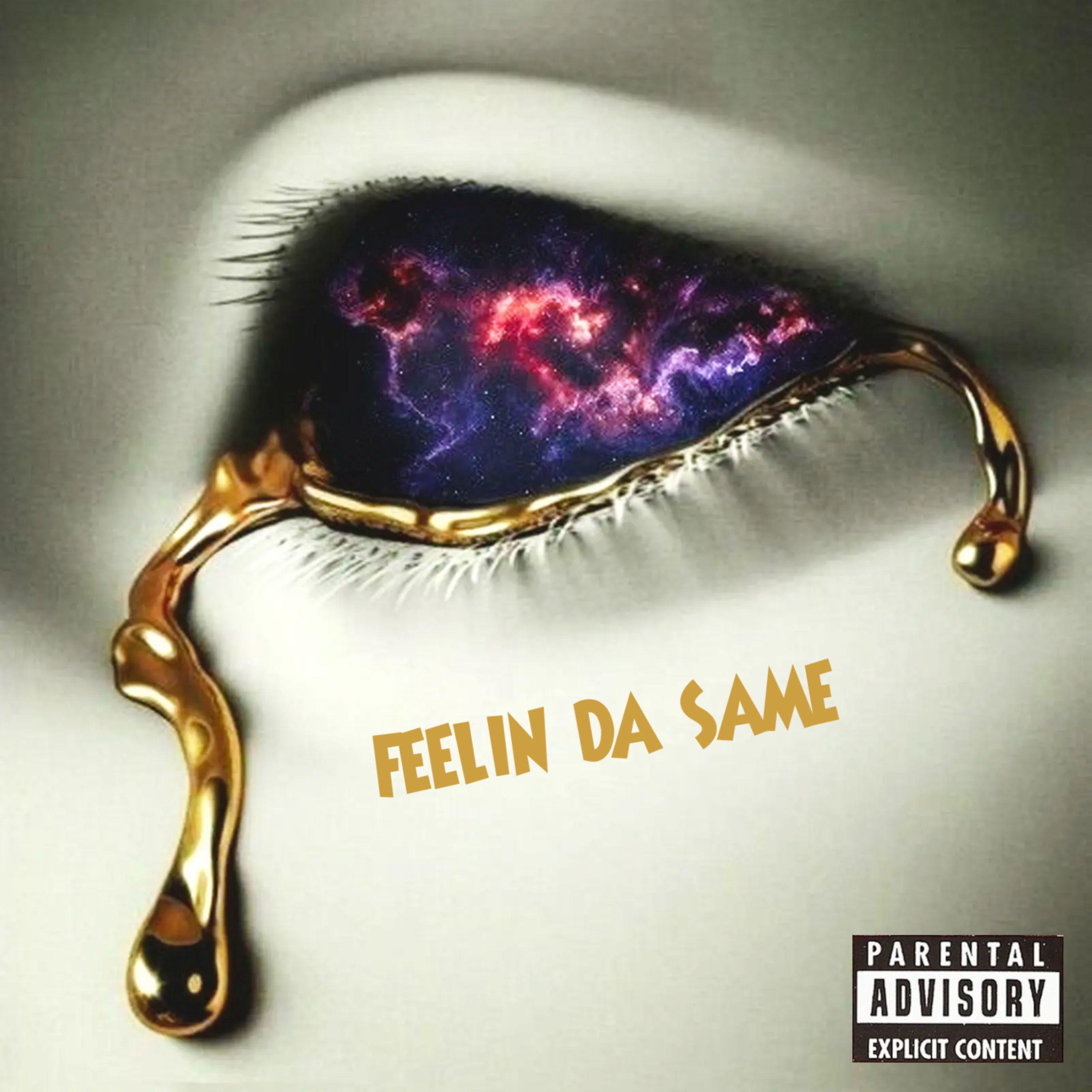 Постер альбома Feelin Da Same (feat. Valious)