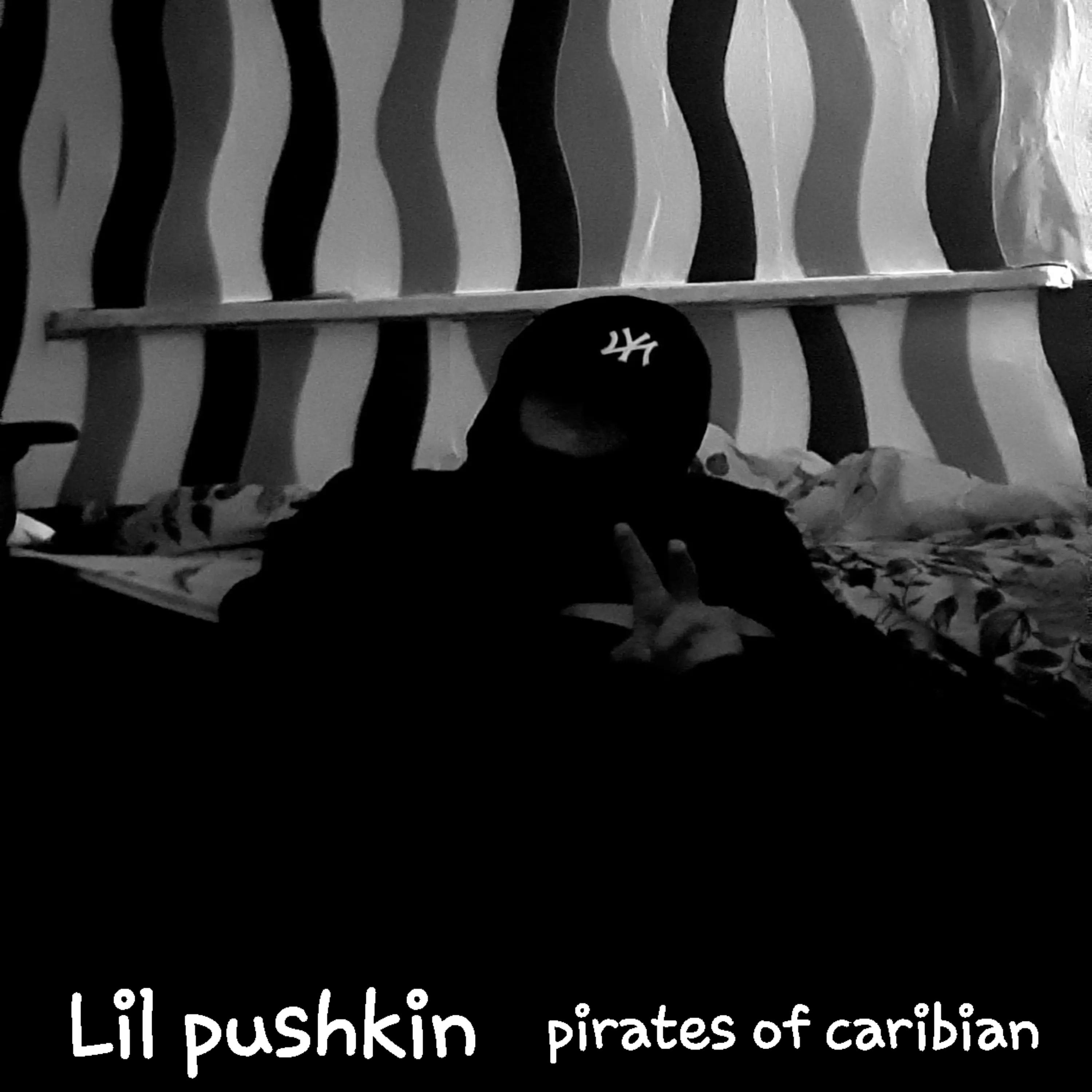 Постер альбома Pirates of Caribian