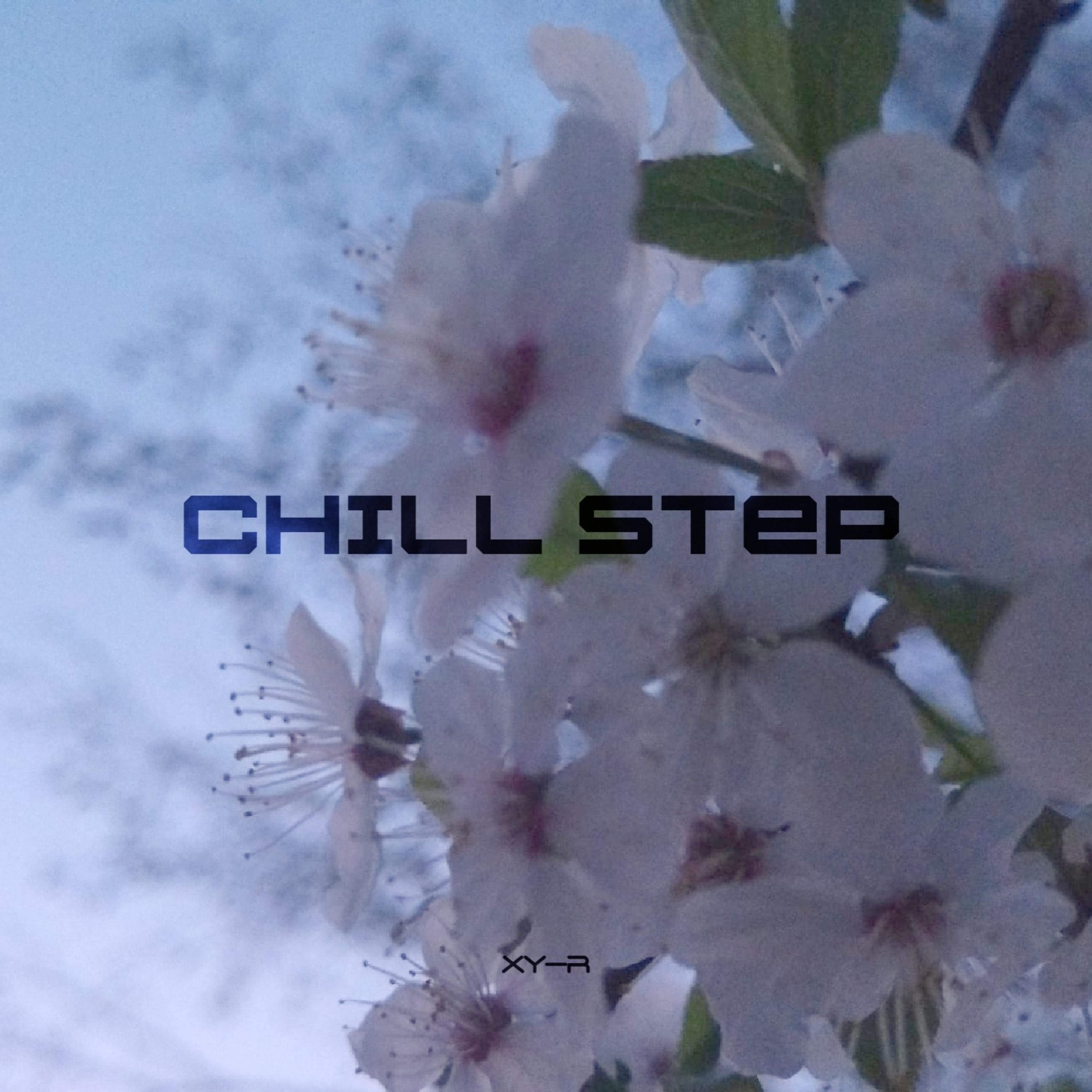 Постер альбома Chill Step