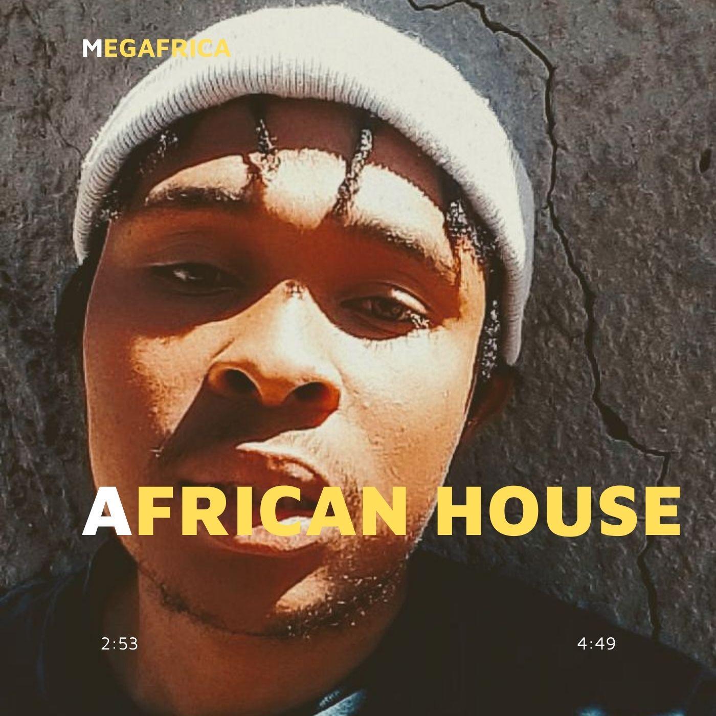 Постер альбома African House (feat. Megahertz & Officixl Megaohms)