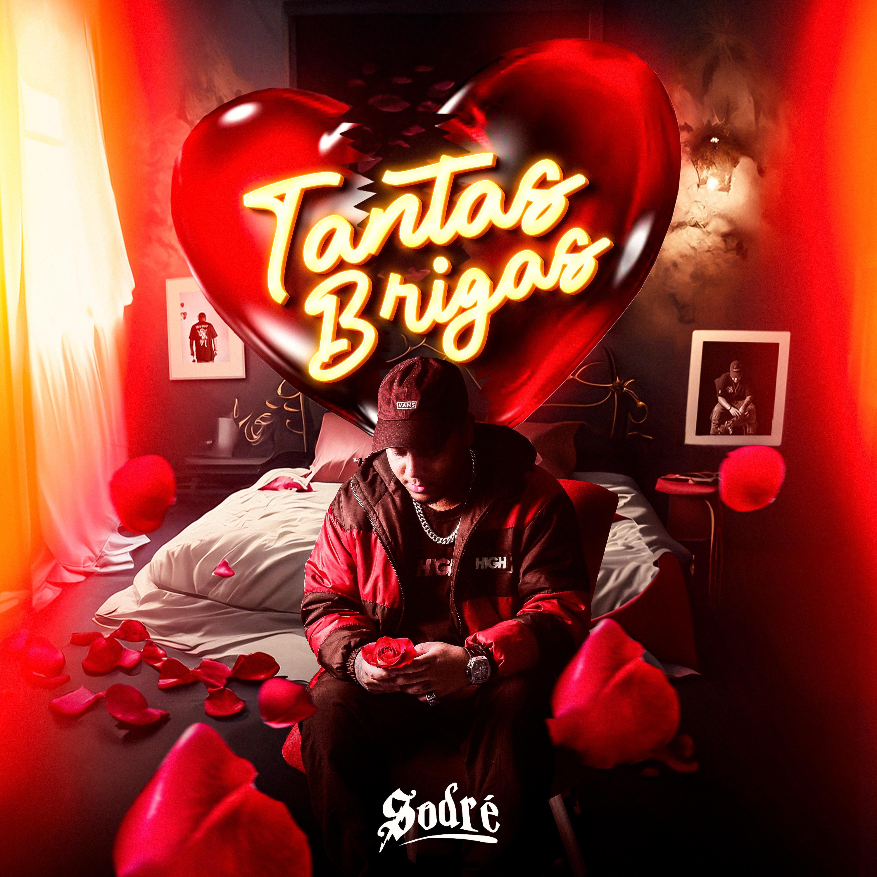 Постер альбома Tantas Brigas