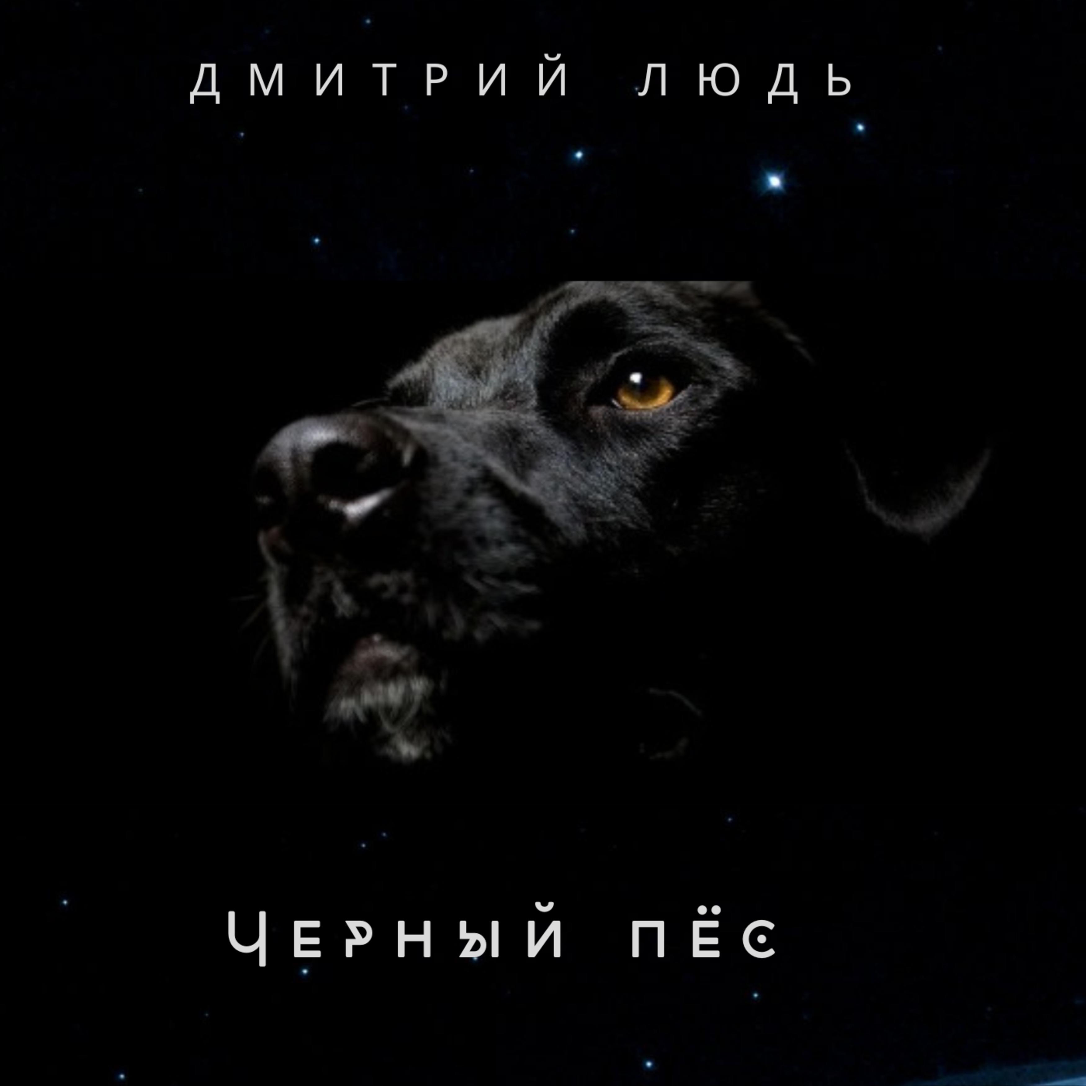 Постер альбома Чёрный пёс