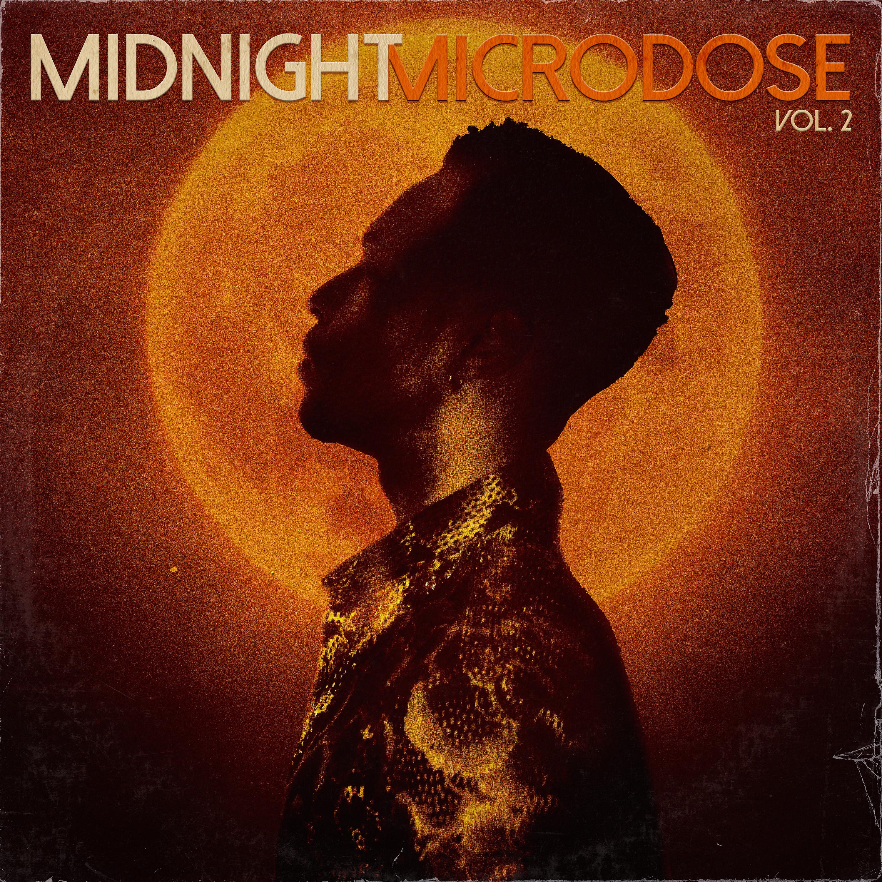 Постер альбома Midnight Microdose, Vol. 2