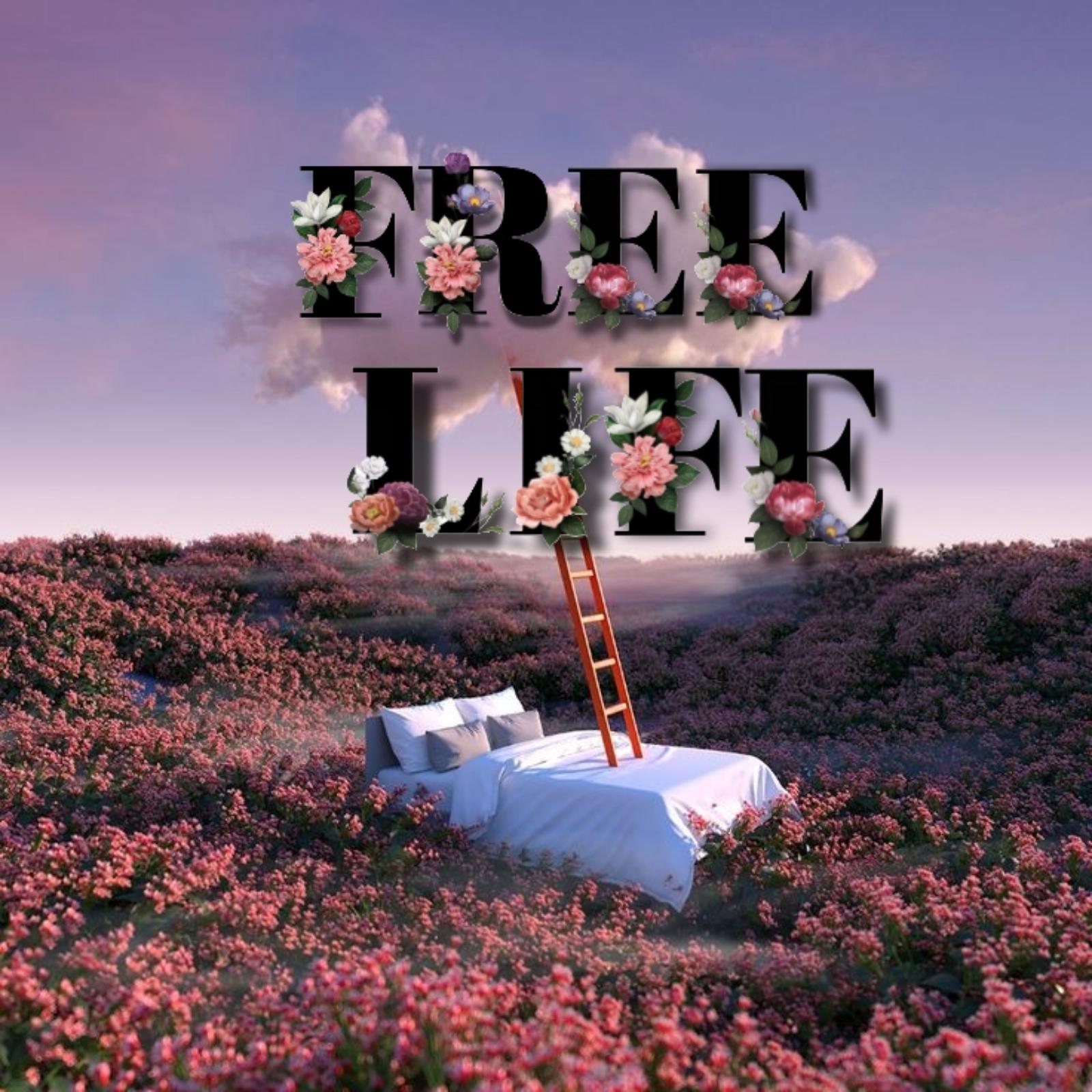Постер альбома Free Life