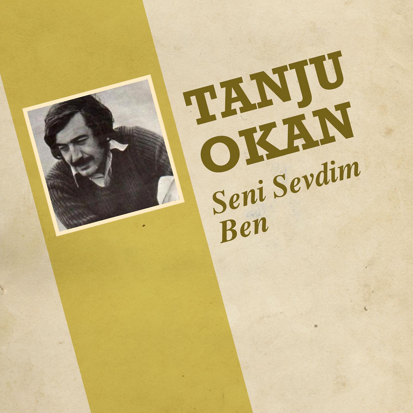 Постер альбома Seni Sevdim Ben