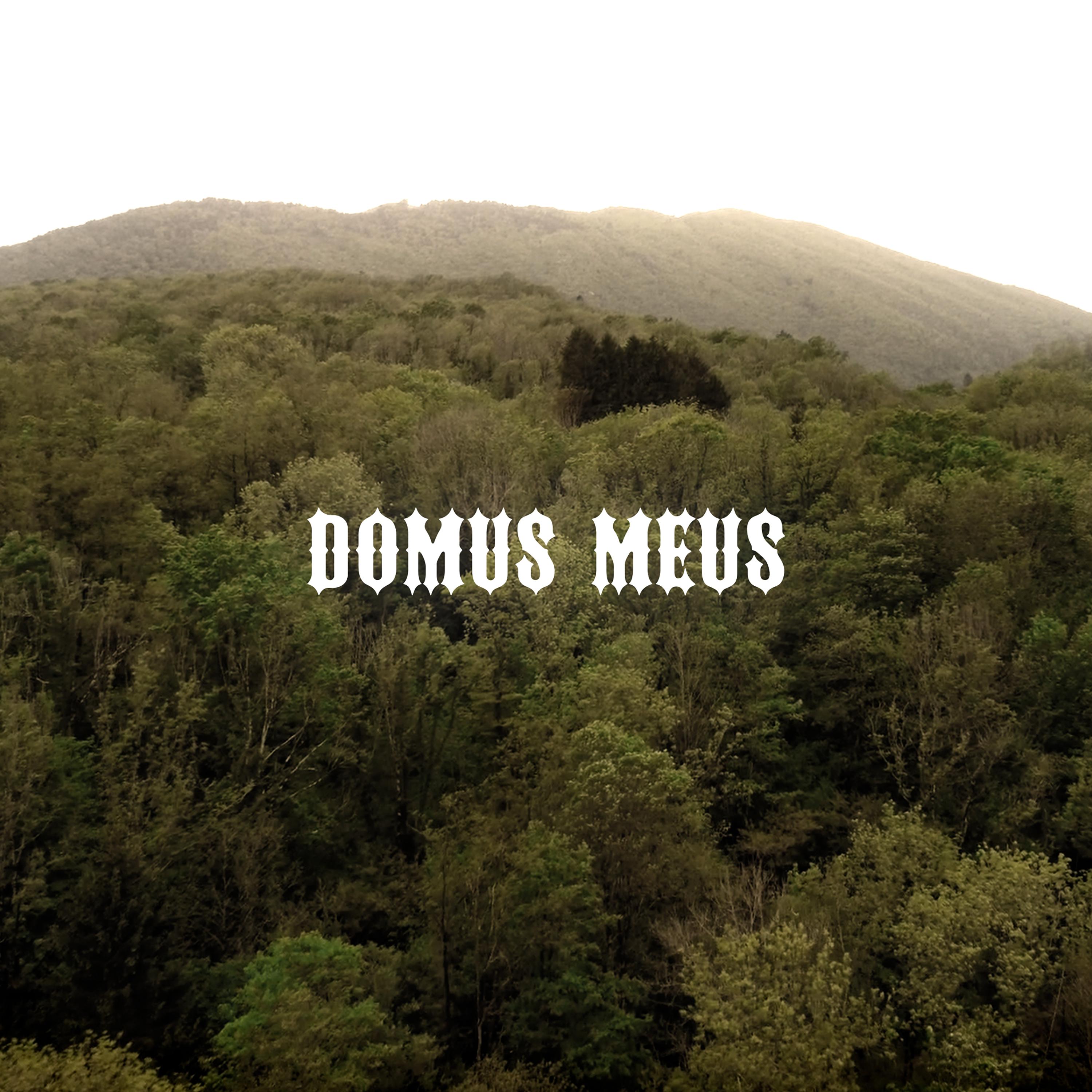 Постер альбома Domus Meus