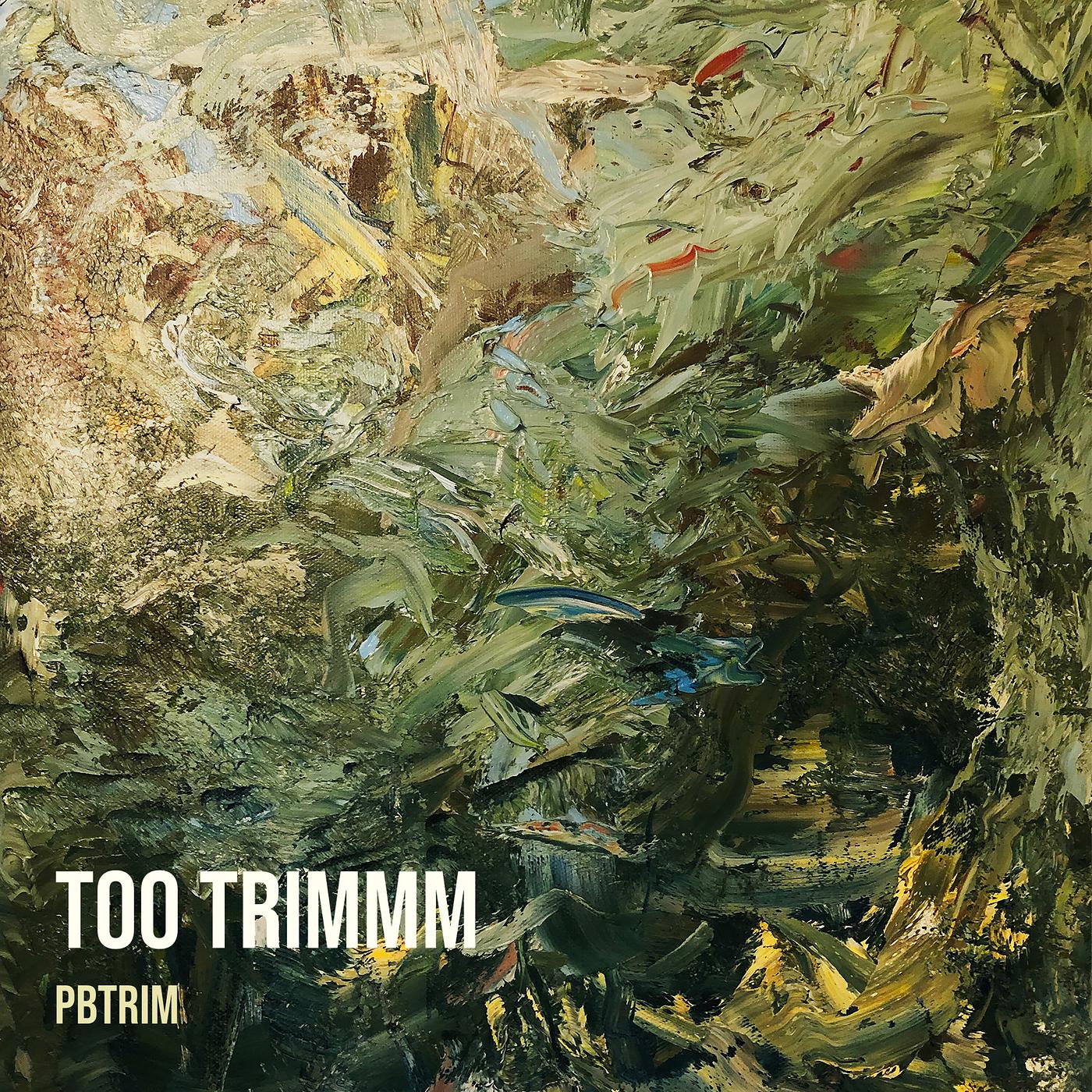 Постер альбома Too Trimmm