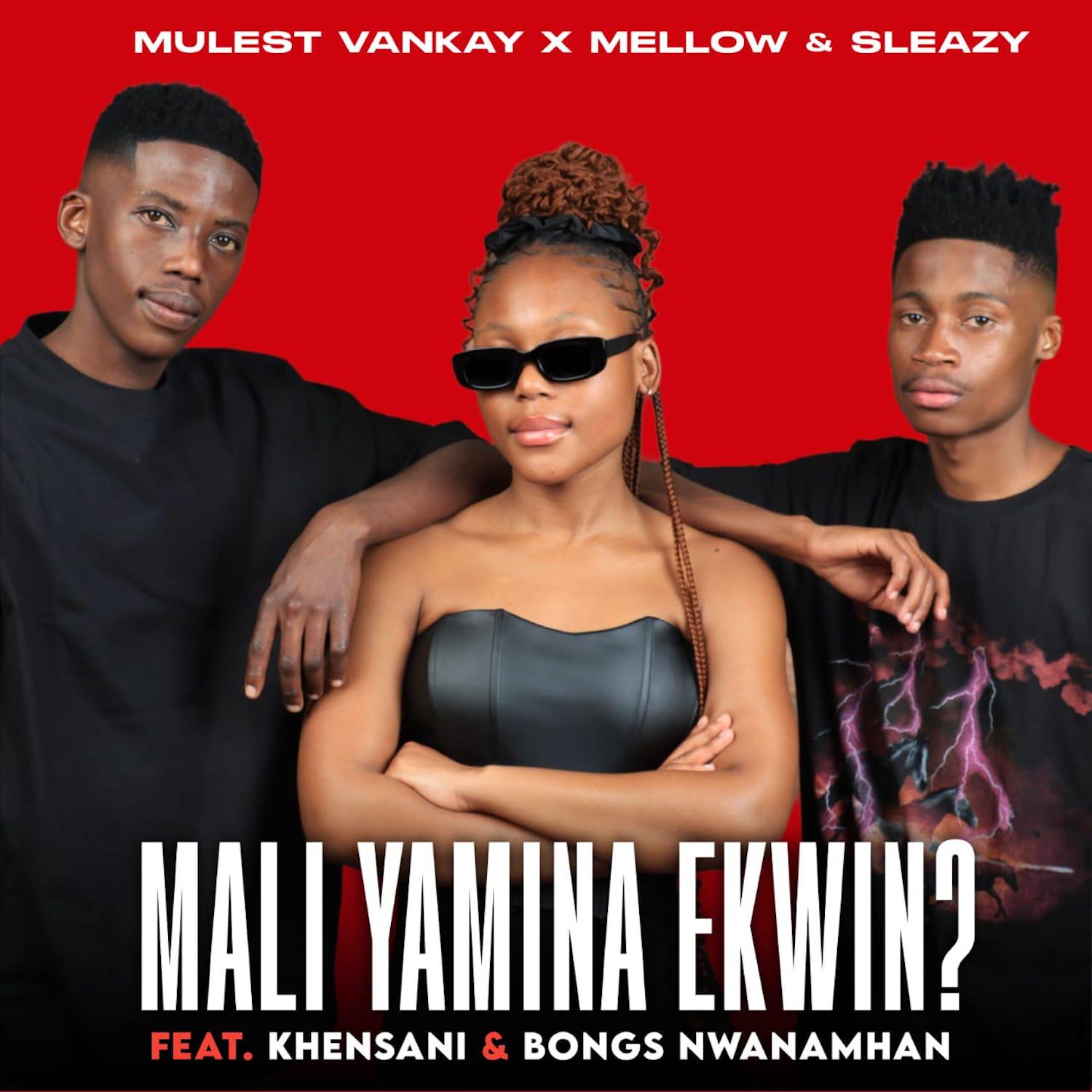 Постер альбома MALI YAMINA EKWIN? (feat. Khensani & Bongs Nwana Mhan)