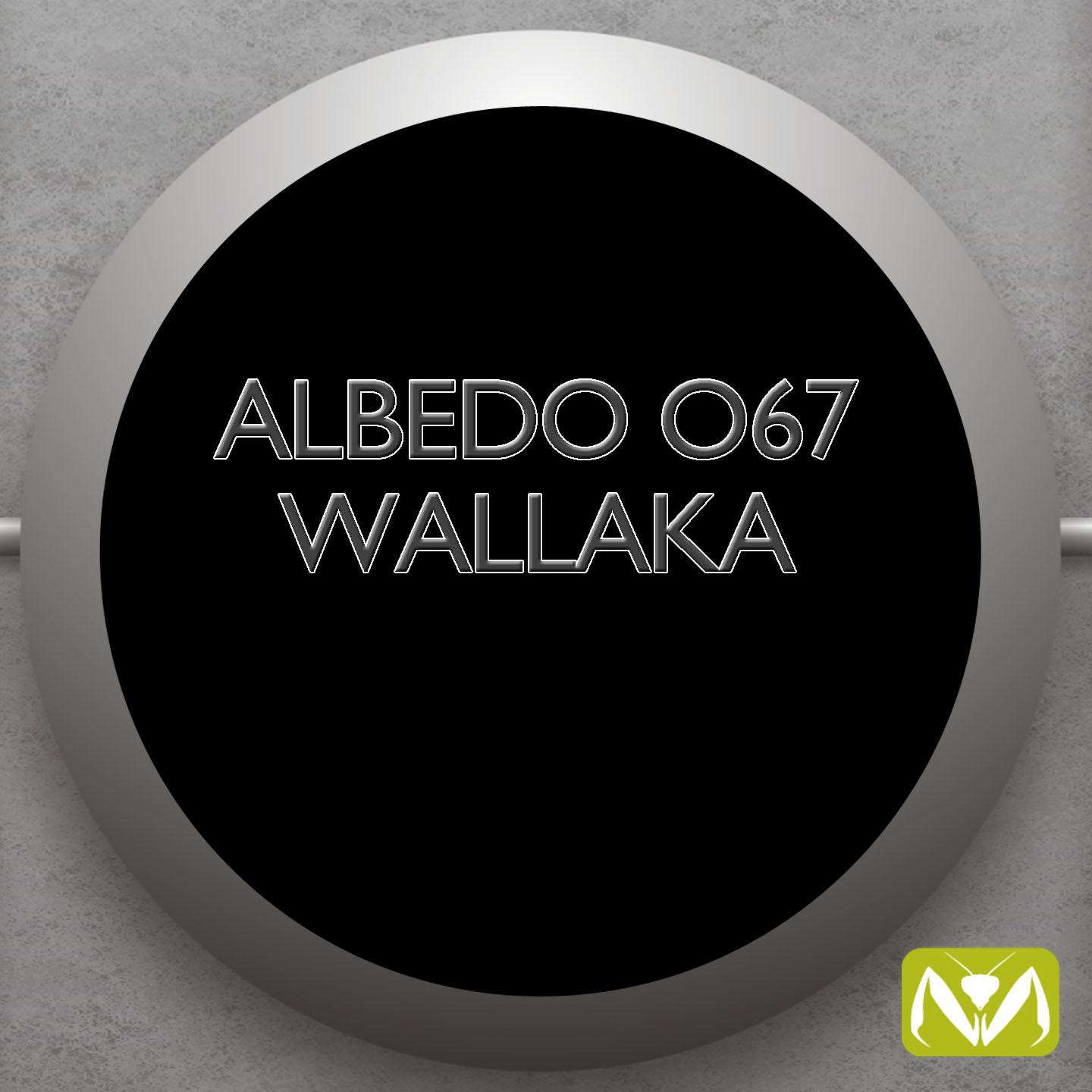 Постер альбома Wallaka