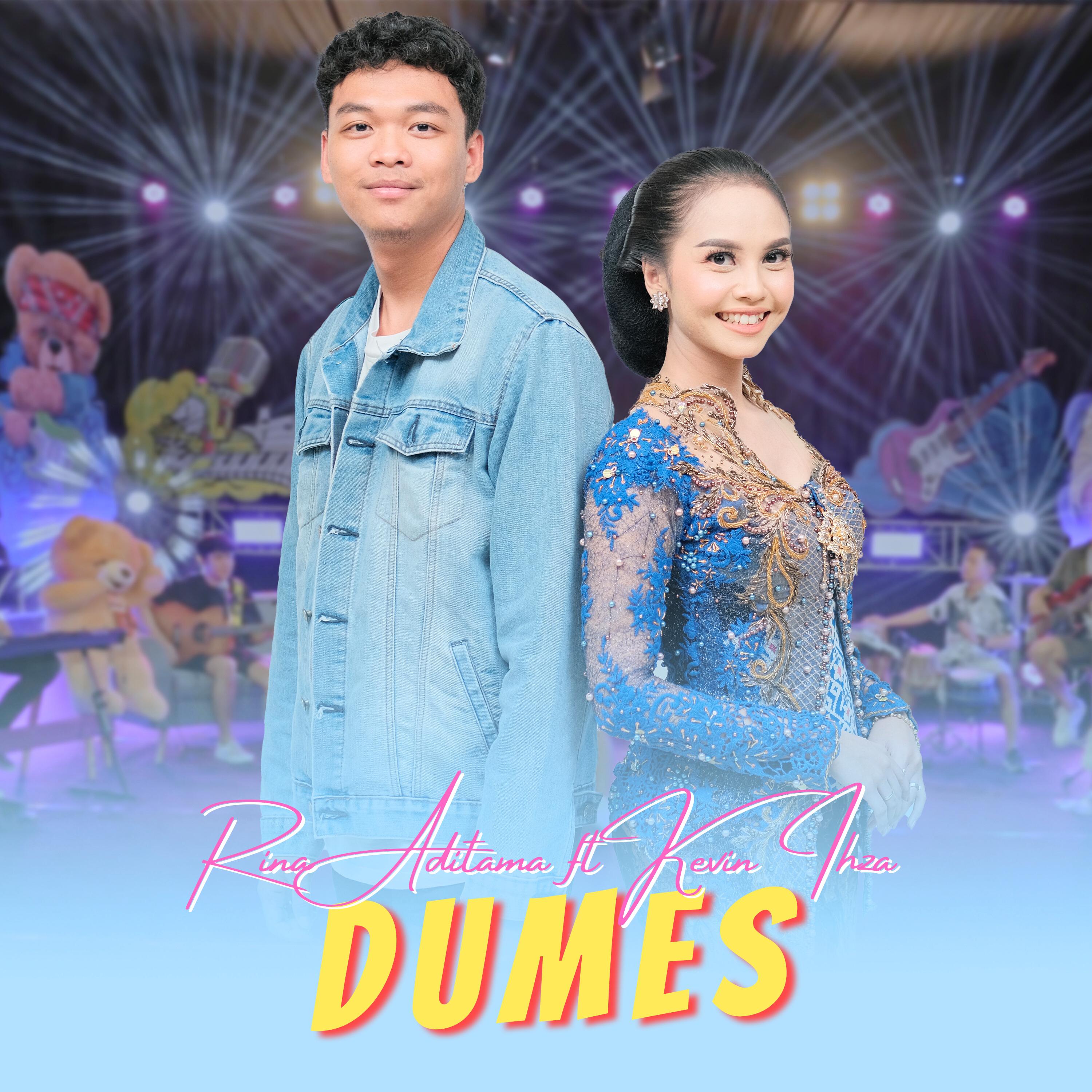 Постер альбома Dumes