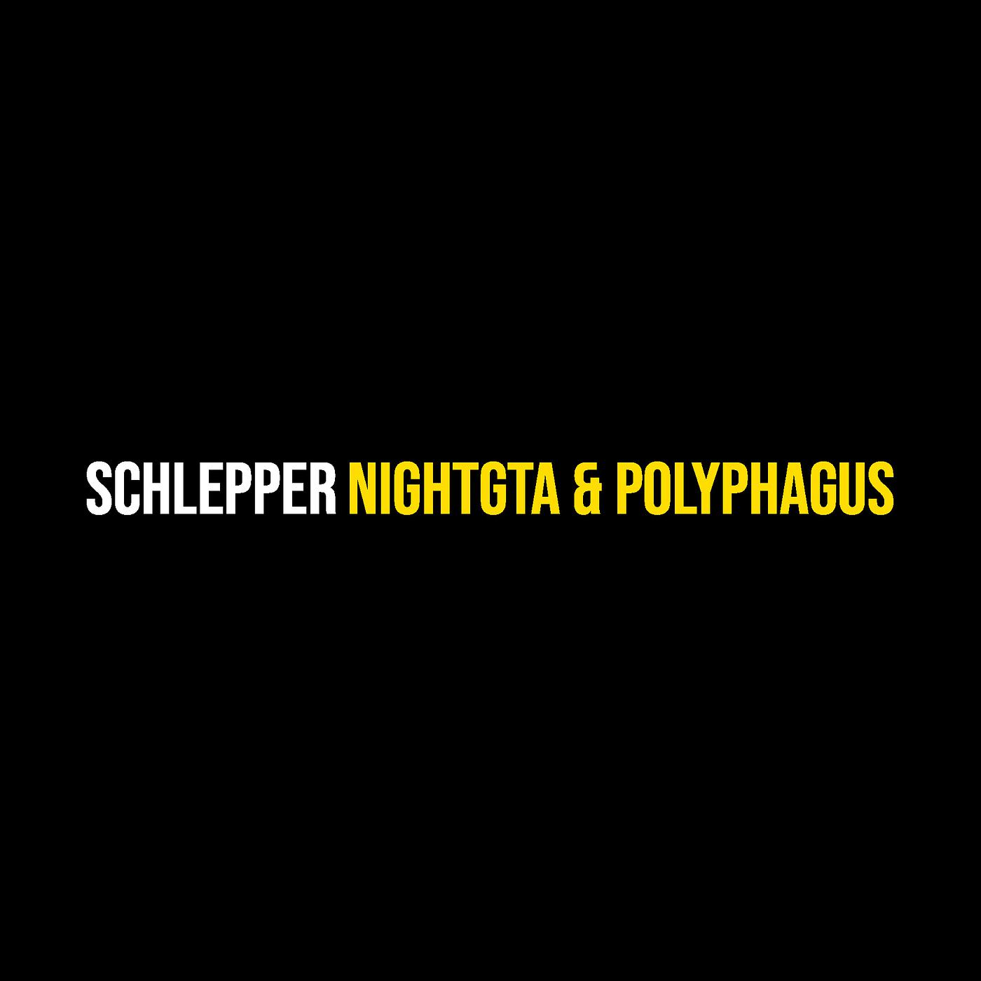 Постер альбома Schlepper