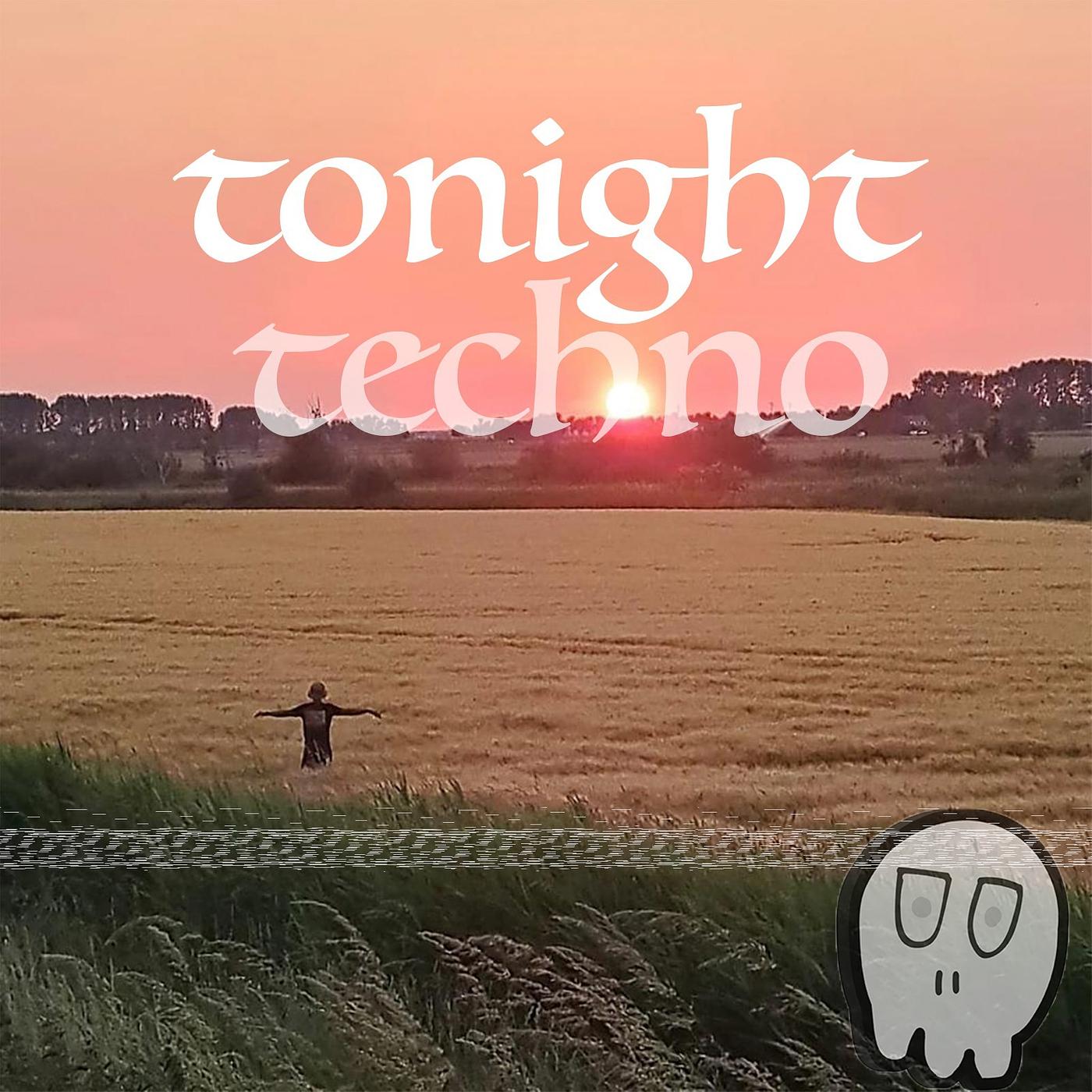 Постер альбома Tonight Techno