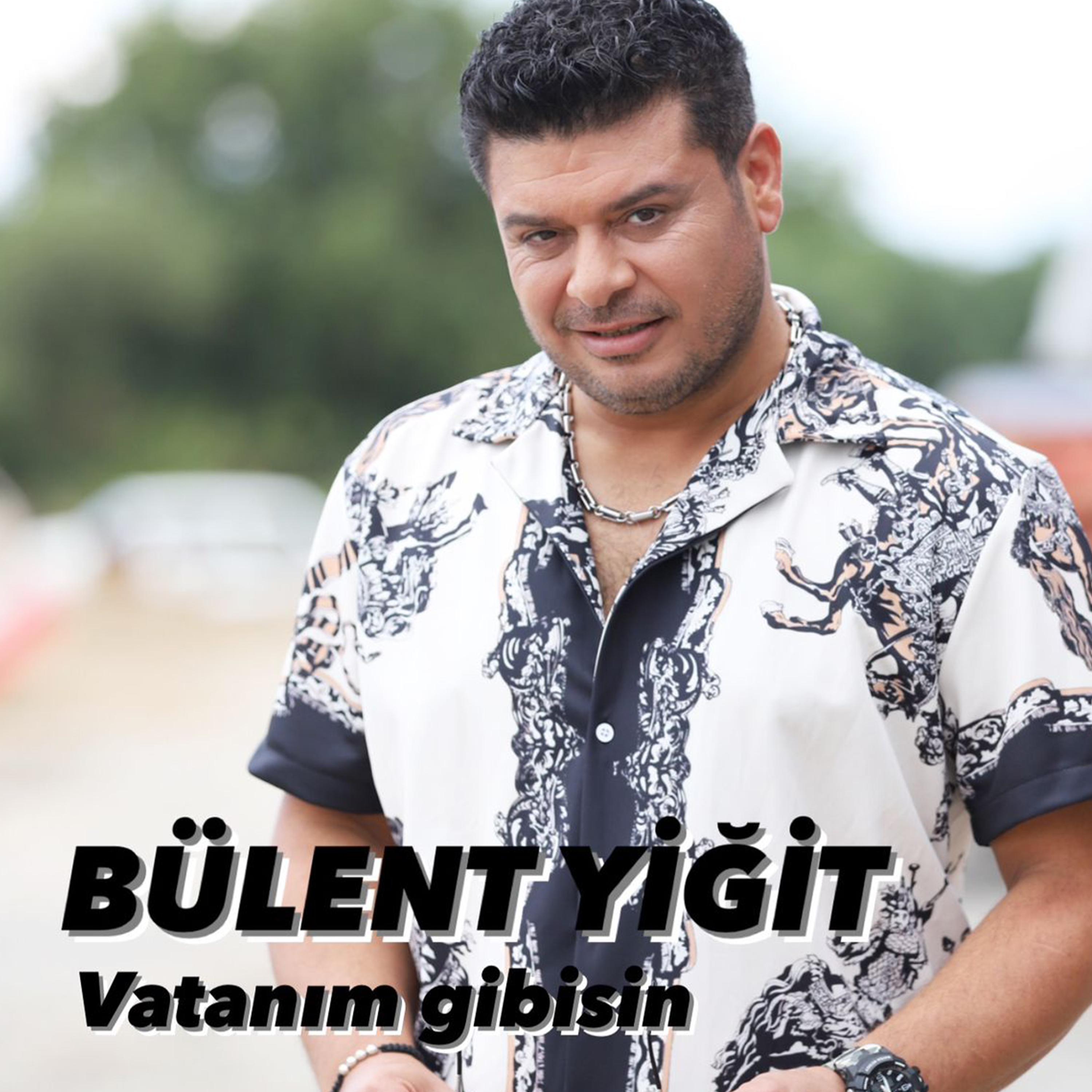 Постер альбома Vatanım Gibisin