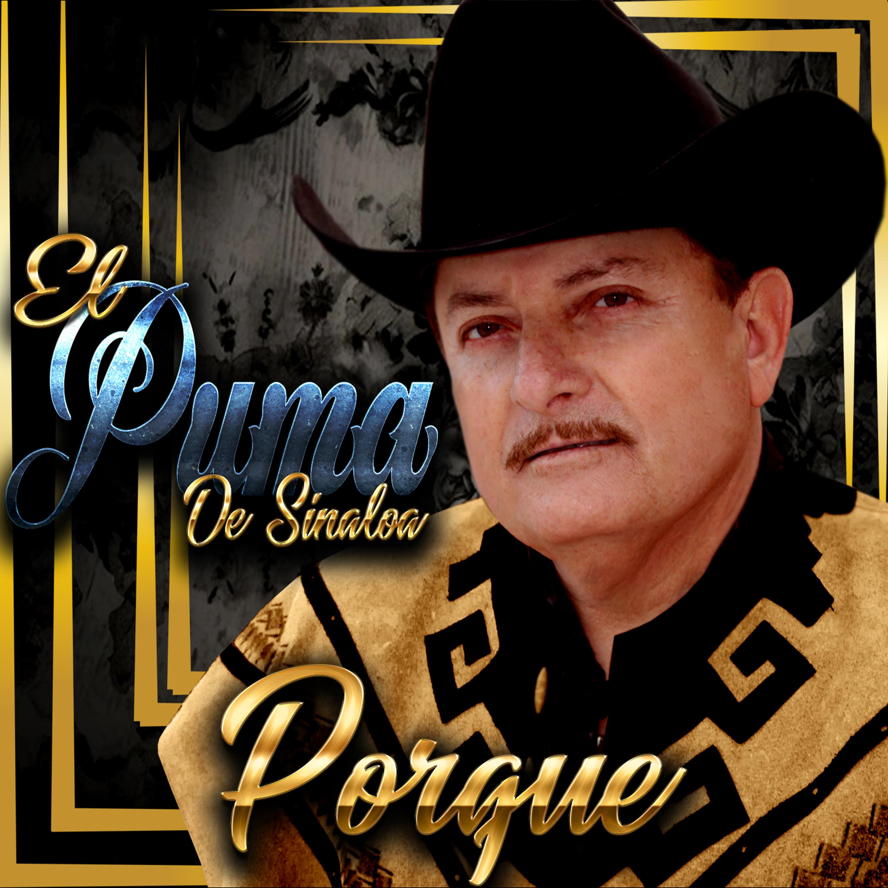 Постер альбома Porque