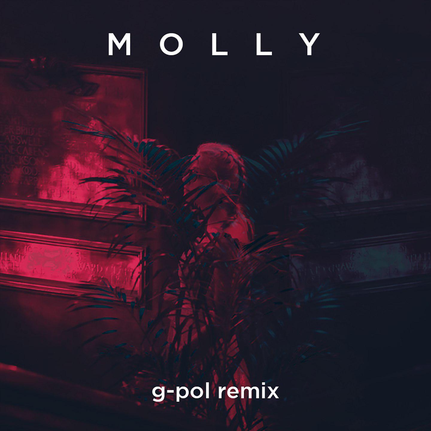 Постер альбома Molly (G-POL Remix)