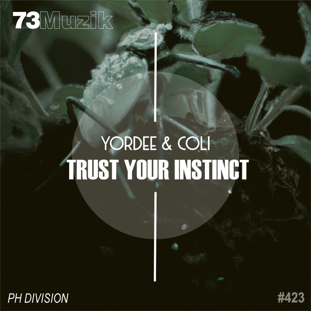 Постер альбома Trust Your Instinct