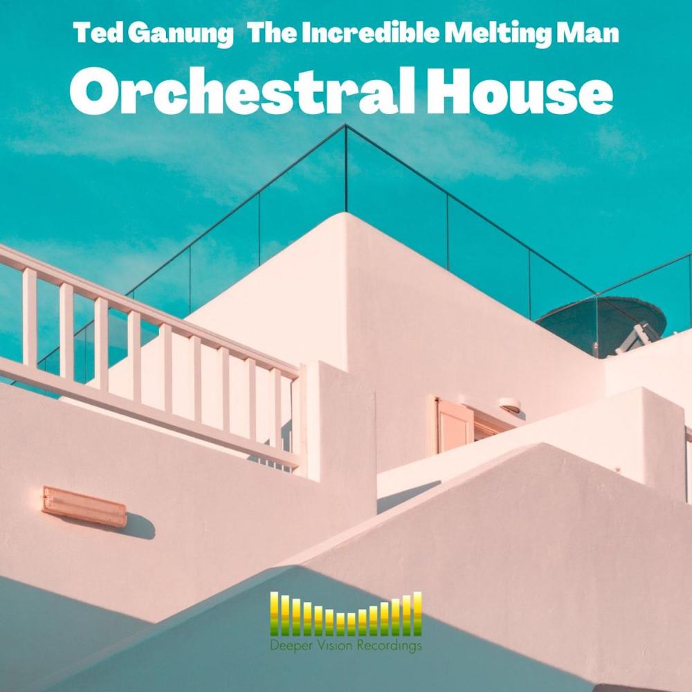 Постер альбома Orchestral House