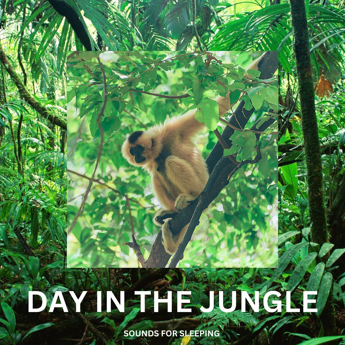 Постер альбома Day in the Jungle
