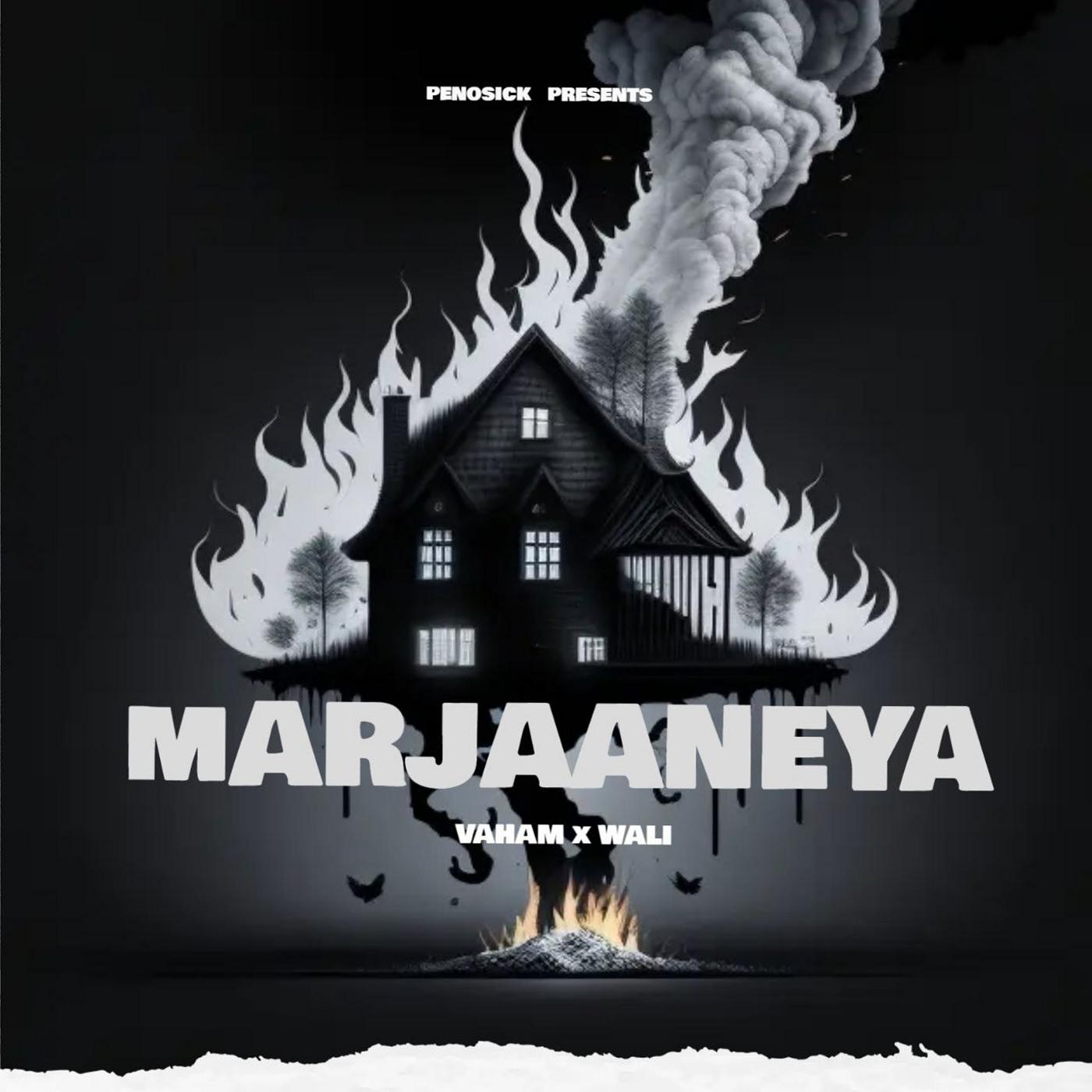 Постер альбома Marjaaneya