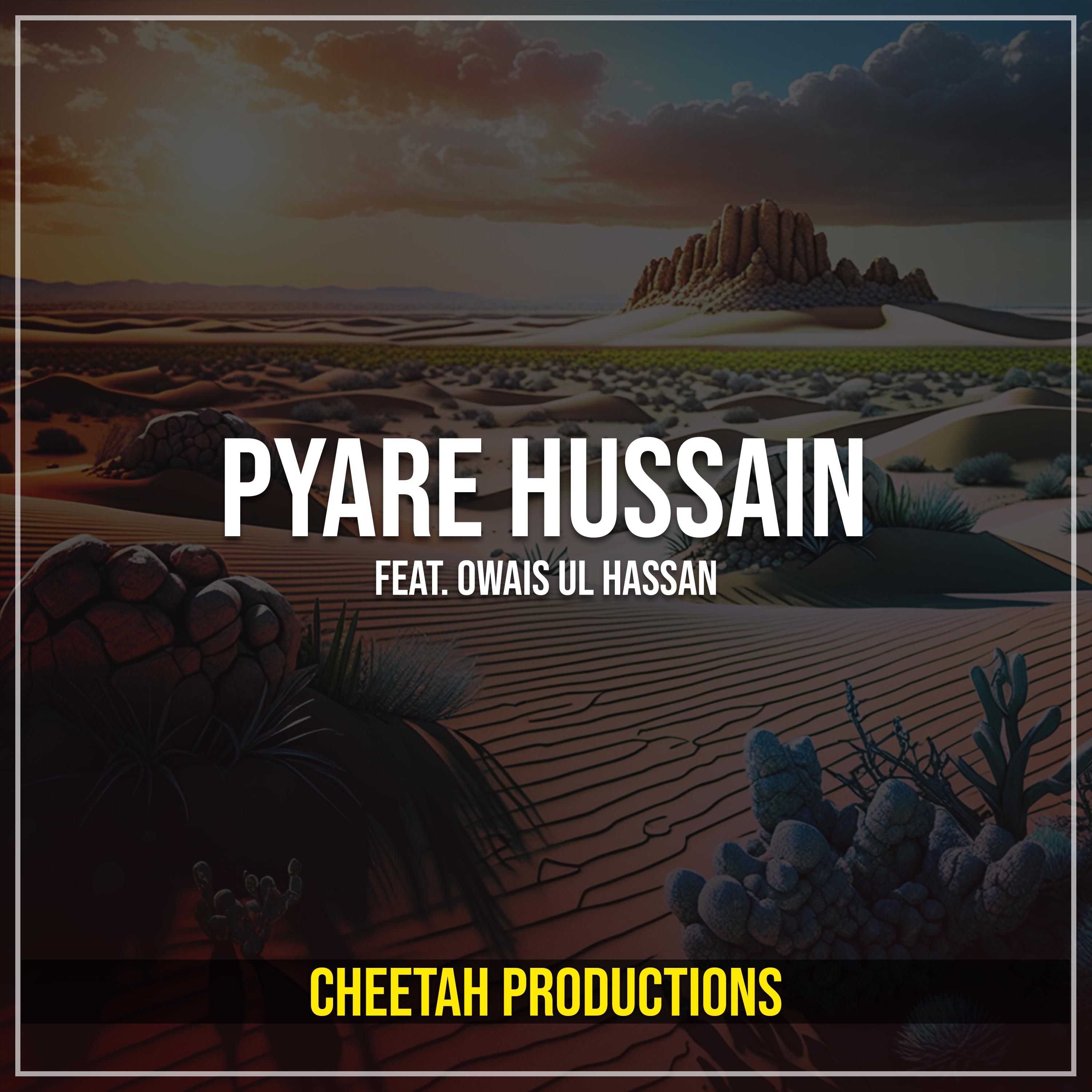 Постер альбома Pyare Hussain