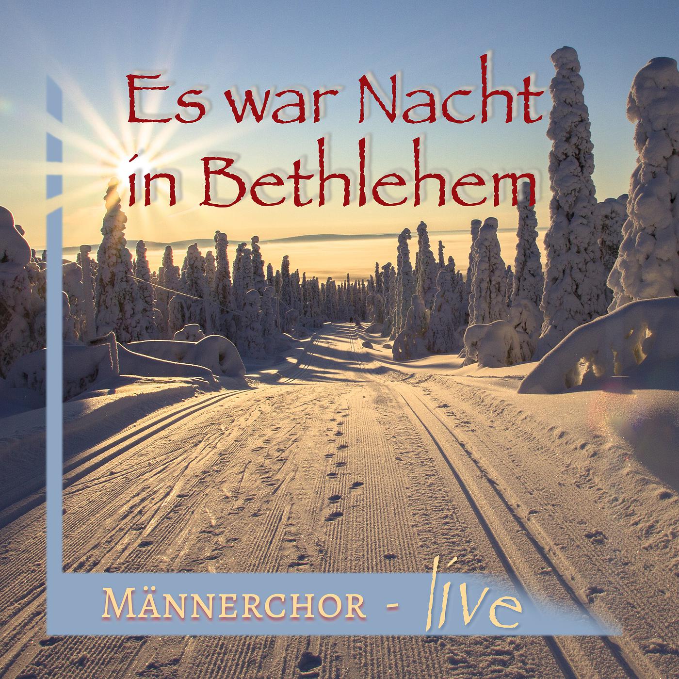 Постер альбома Es War Nacht in Bethlehem (Live)
