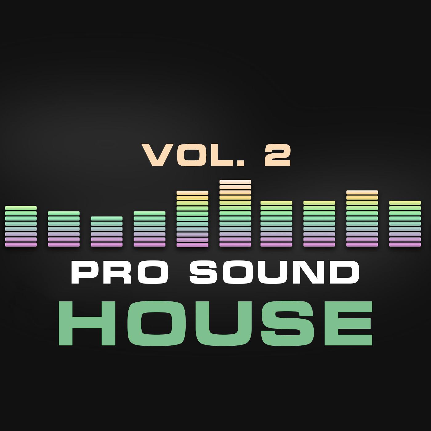 Постер альбома Pro Sound: House, Vol. 2