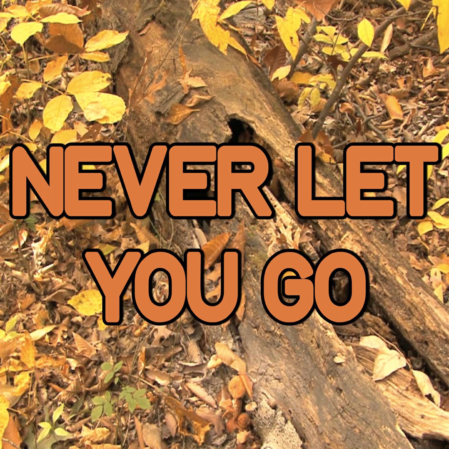 Swift Hits - Never Let You Go - Tribute to Rudimental (Instrumental Version)
