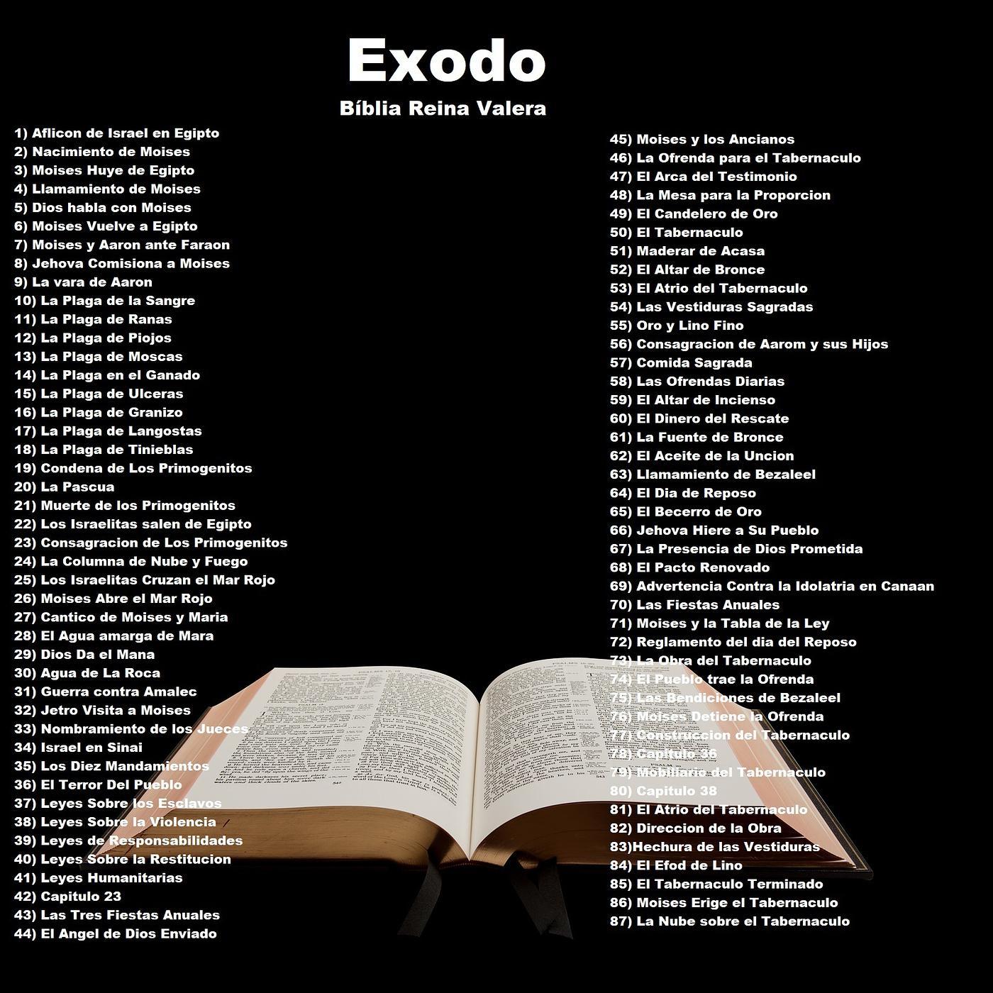 Постер альбома Exodo