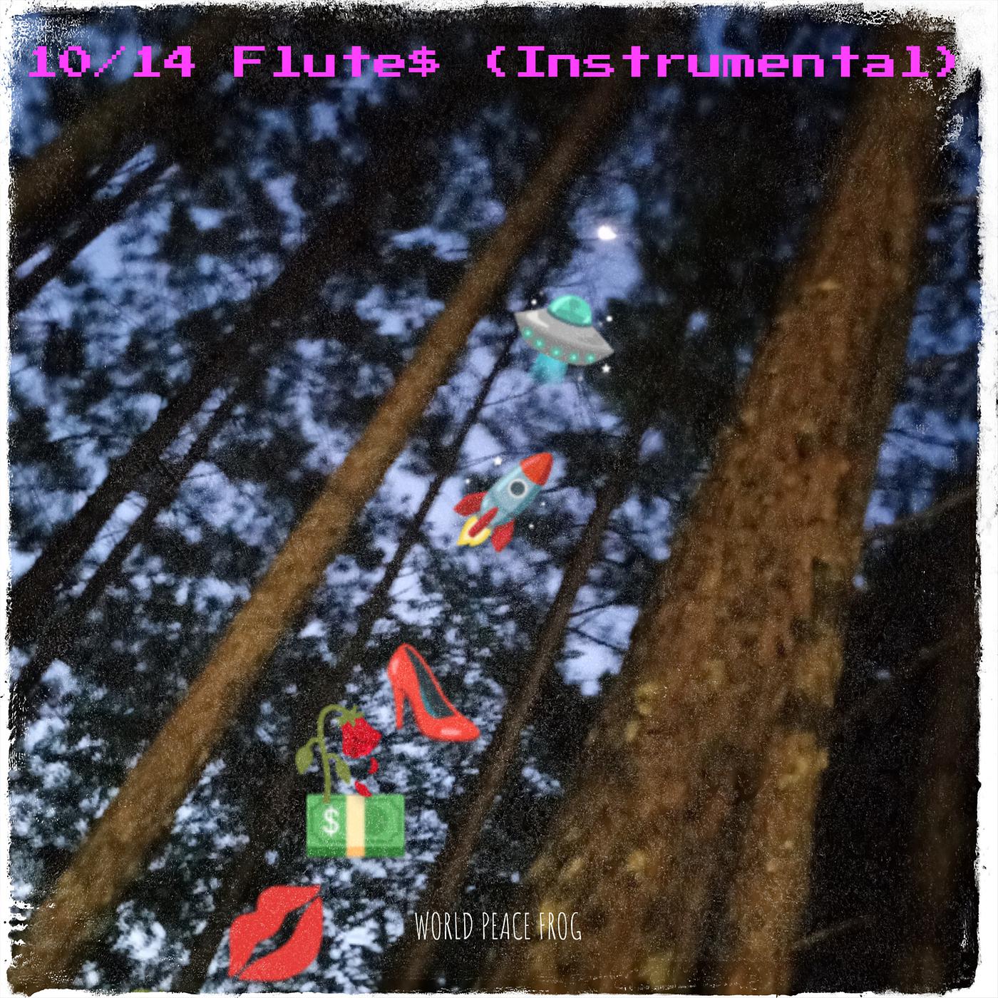 Постер альбома 10/14 Flute$ (Instrumental)