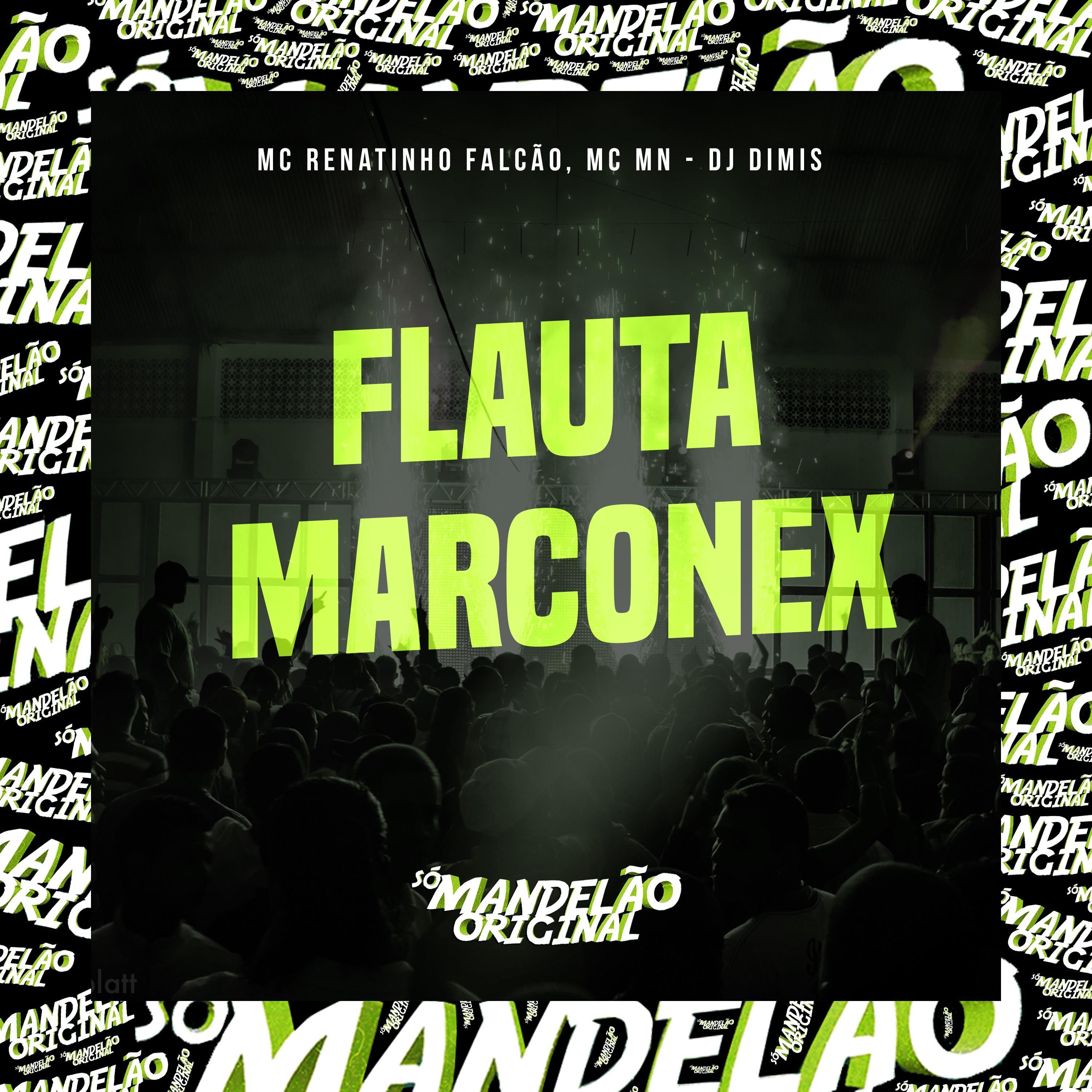Постер альбома Flauta Marconex