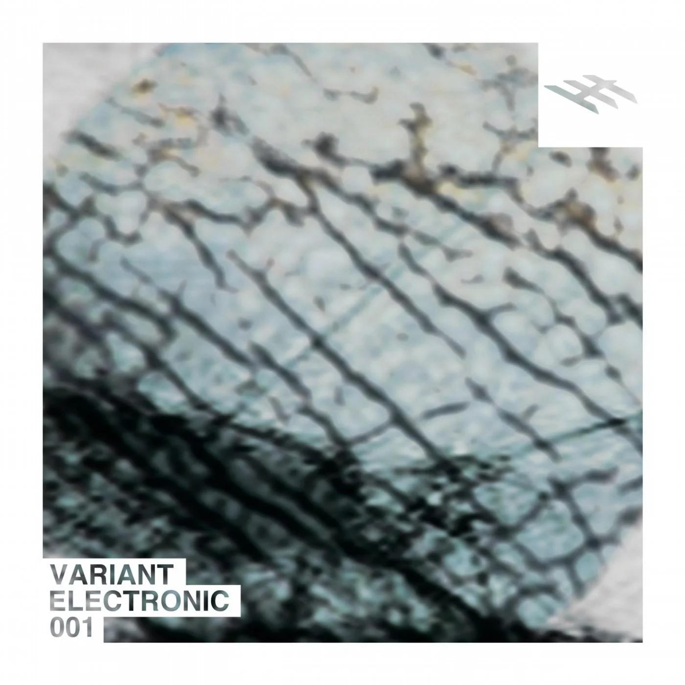 Постер альбома Variant Electronic 001