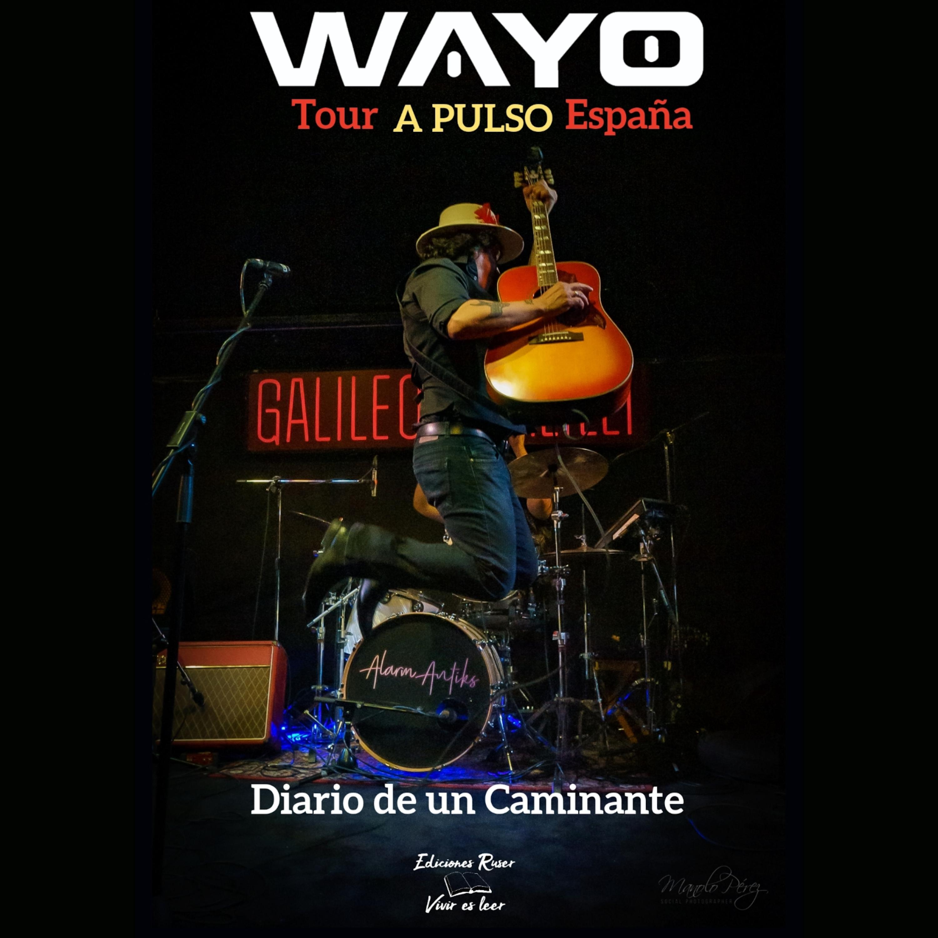 Постер альбома Diario de un Caminante