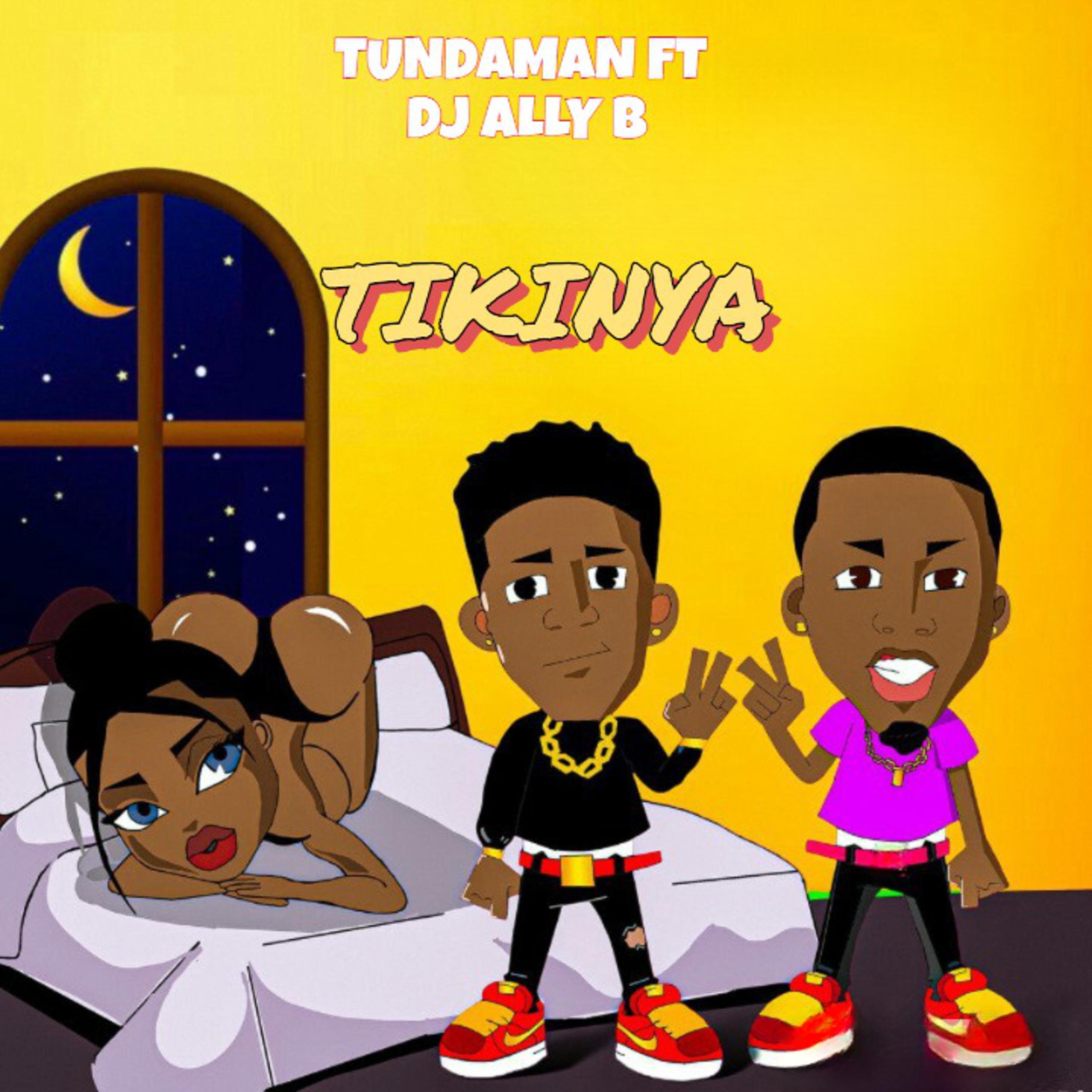 Постер альбома Tikinya