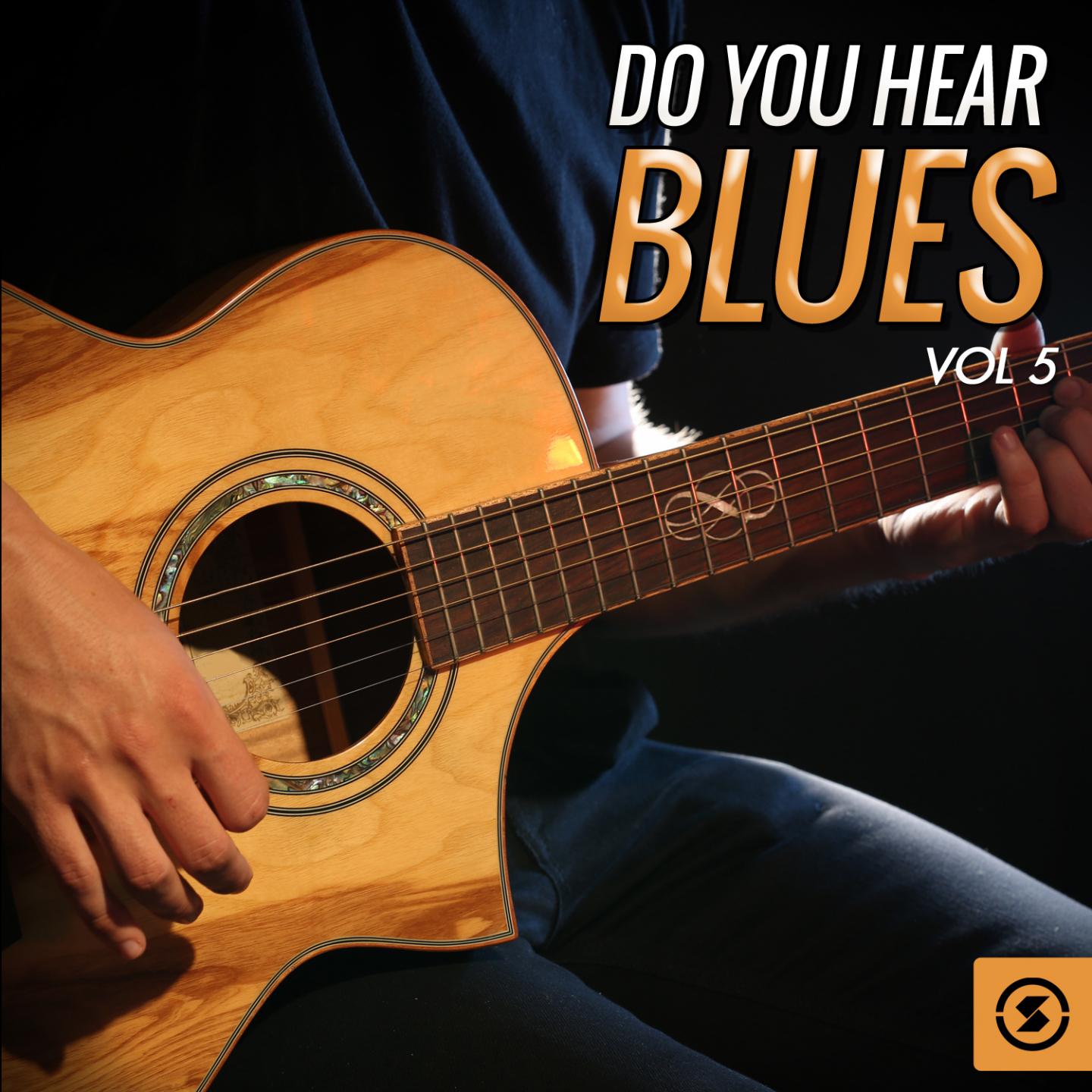Постер альбома Do You Hear Blues, Vol. 5