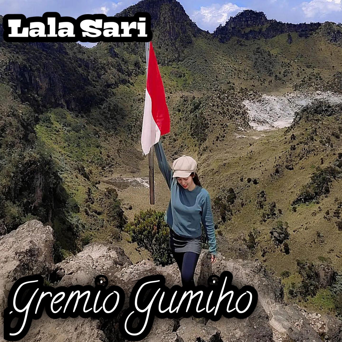 Постер альбома Gremio Gumiho
