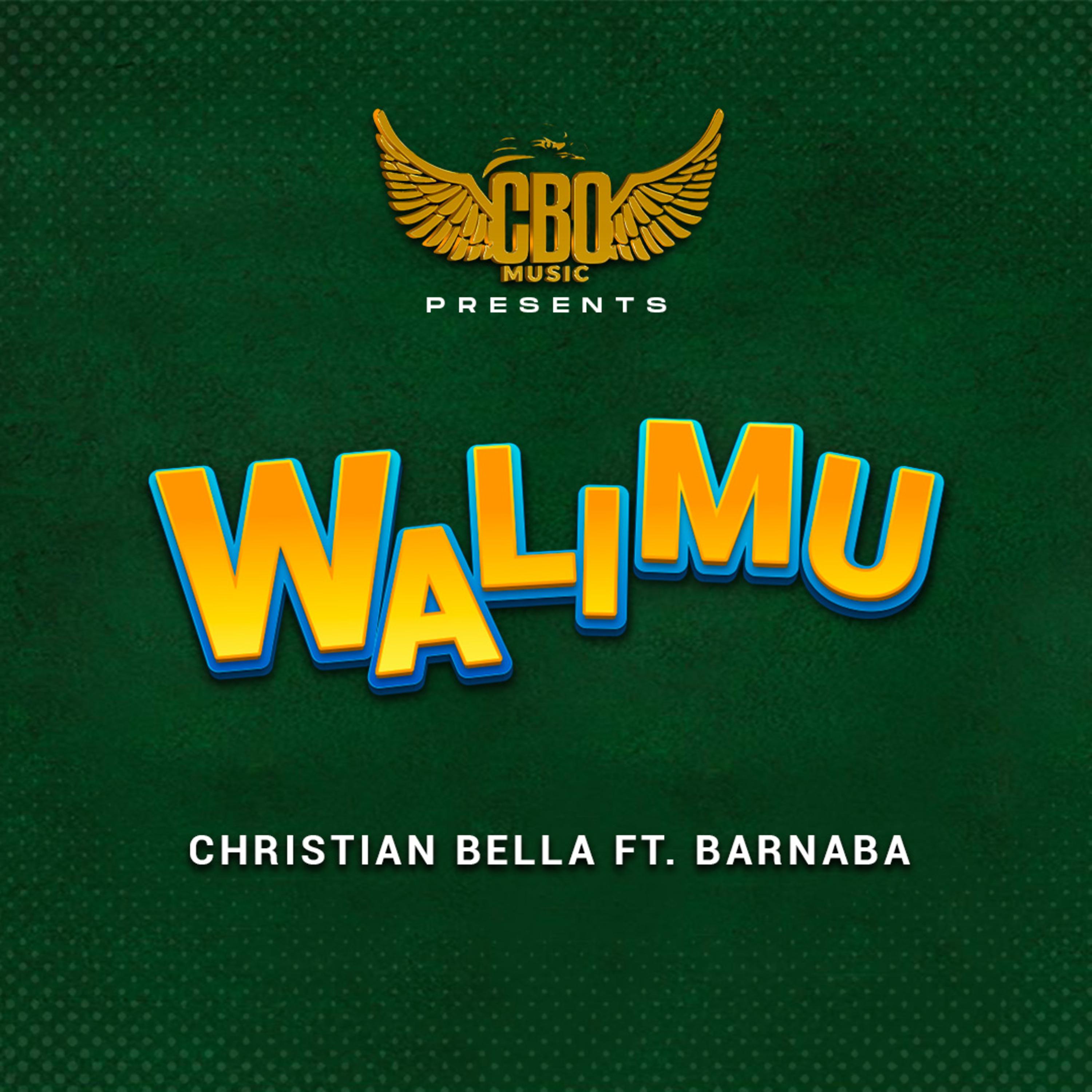 Постер альбома Walimu