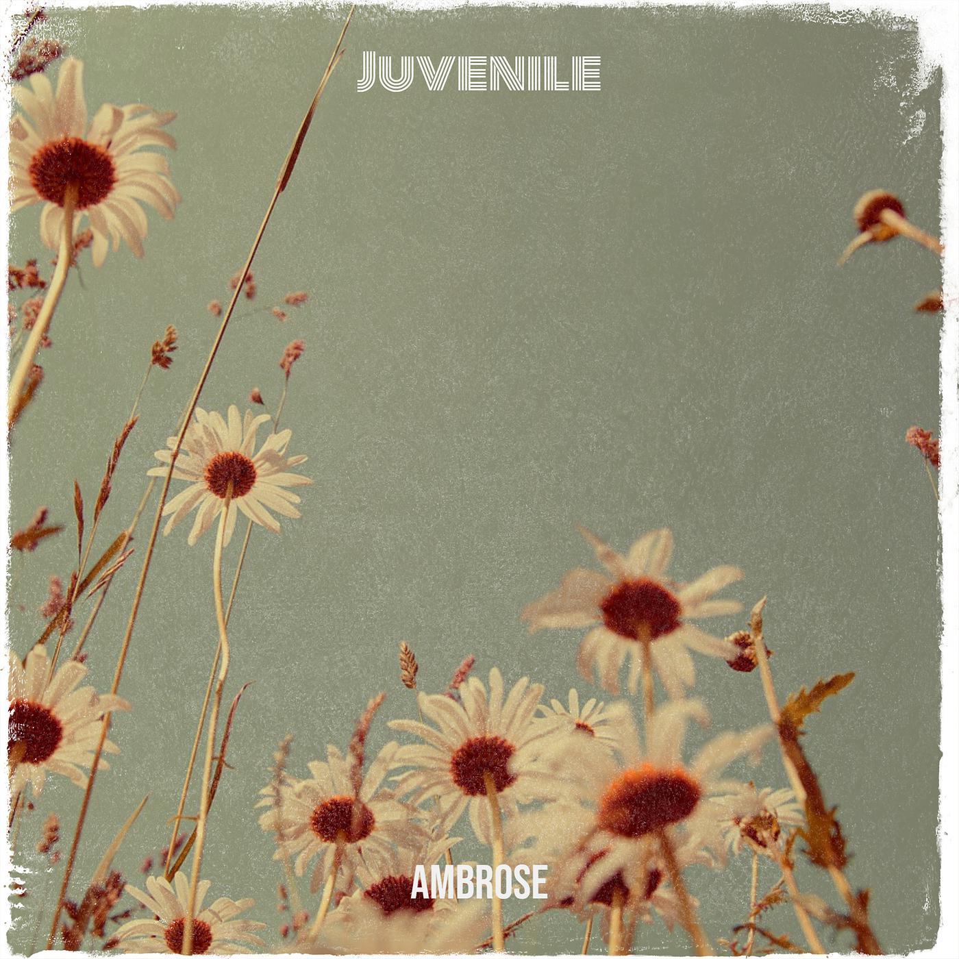 Постер альбома Juvenile