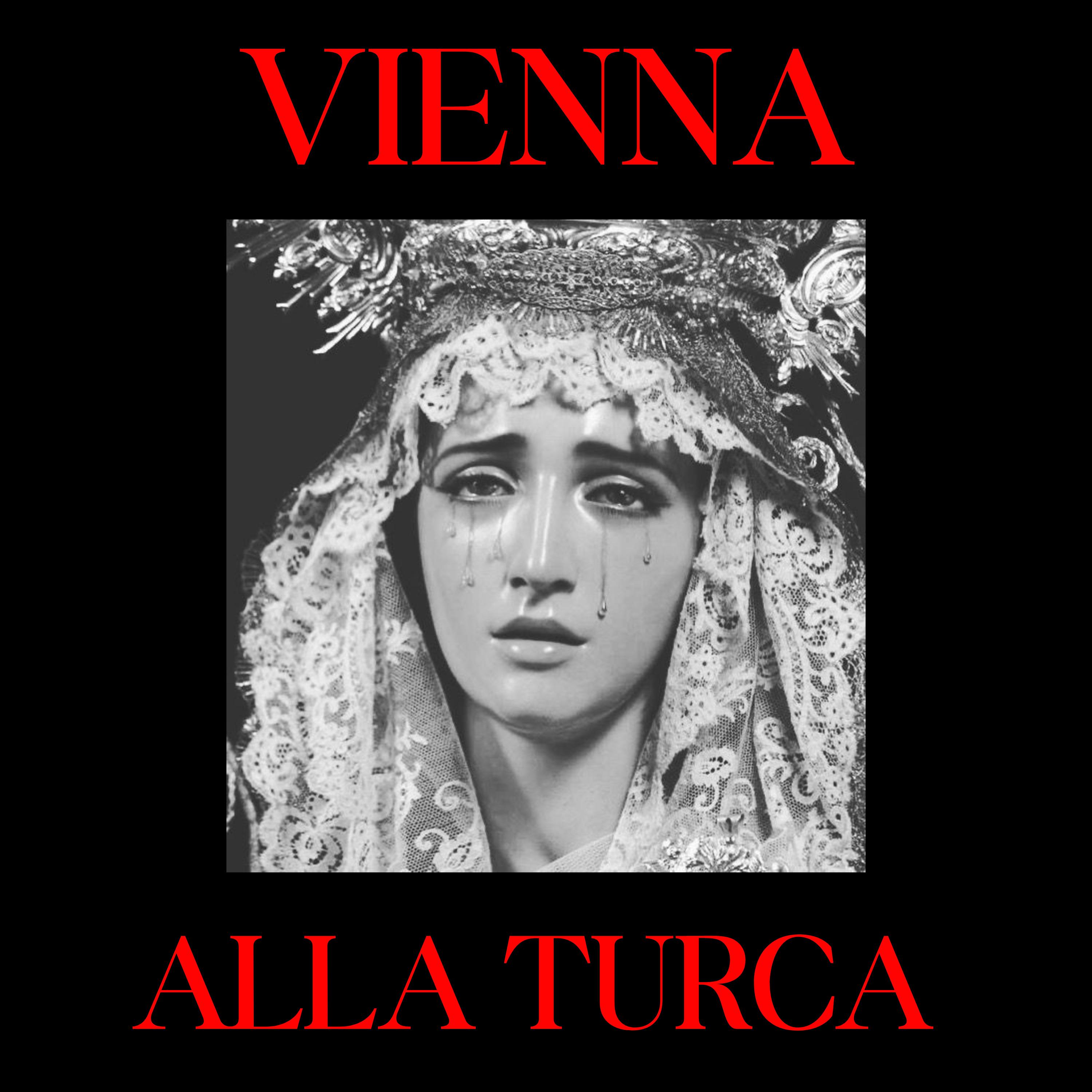 Постер альбома Vienna