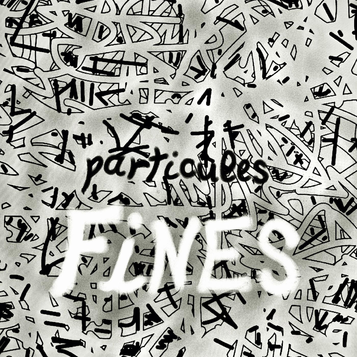 Постер альбома Particules Fines