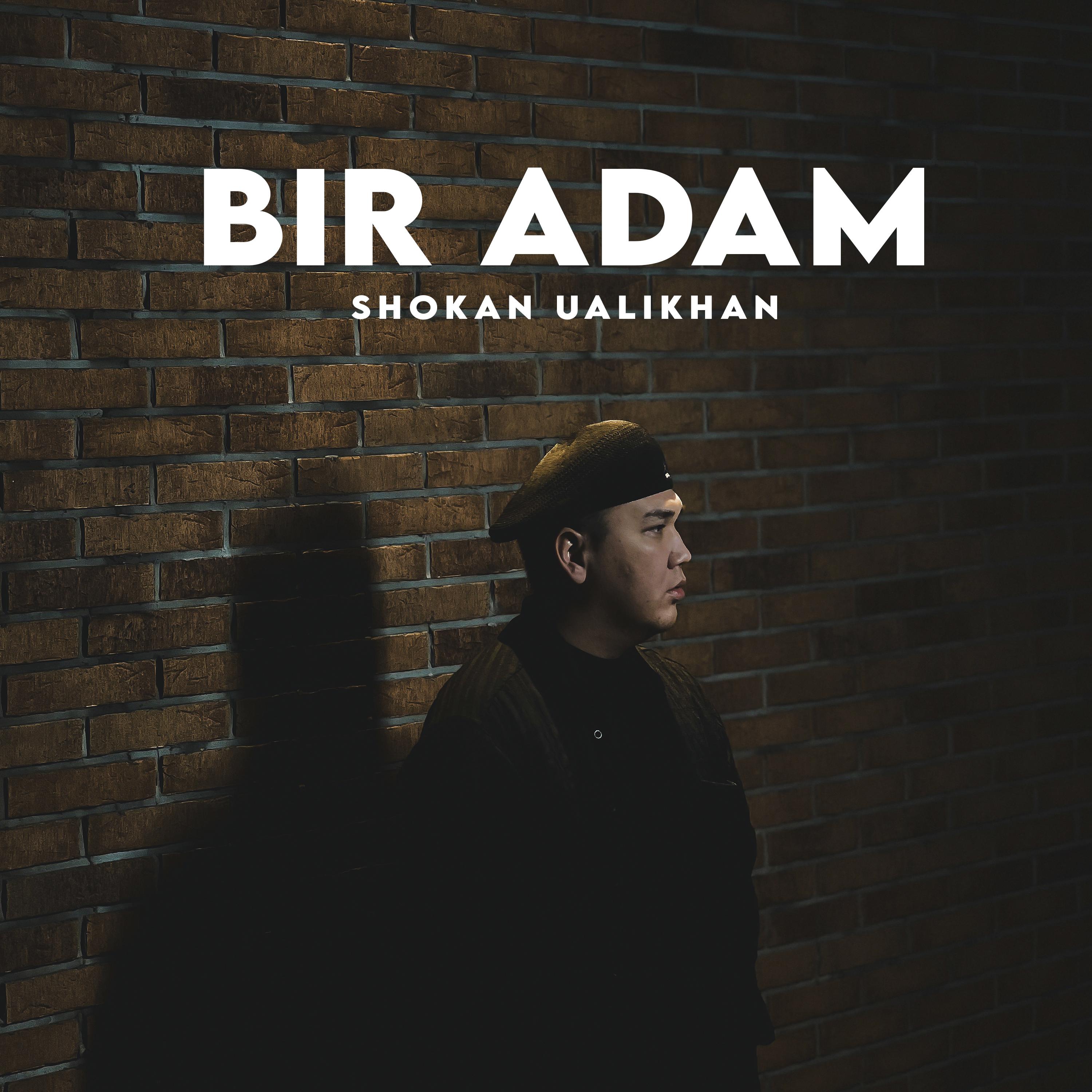 Постер альбома BIR ADAM