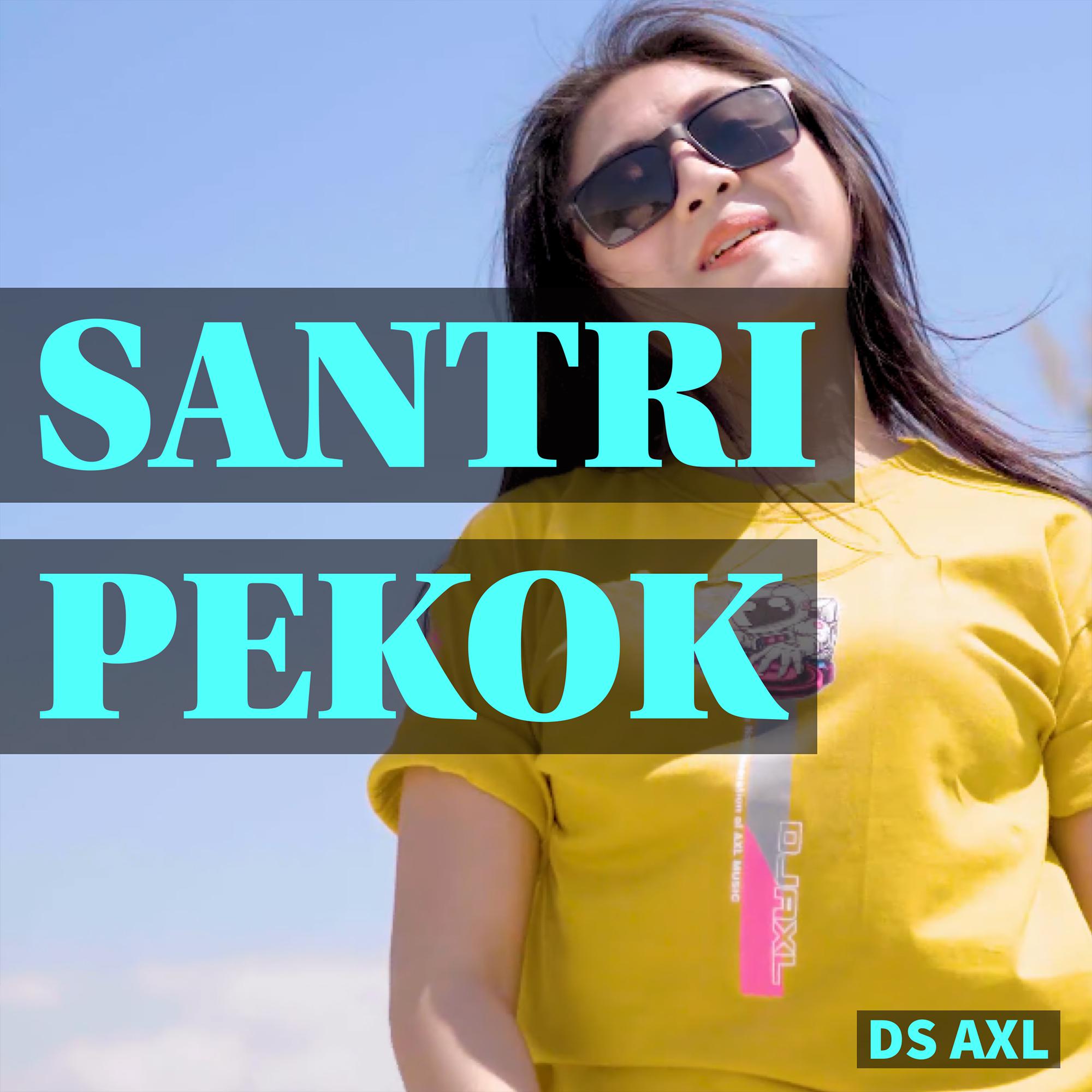 Постер альбома Santri Pekok