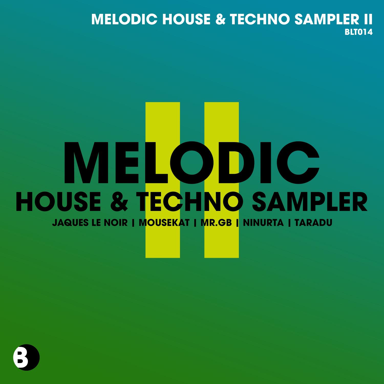 Постер альбома Melodic House & Techno Sampler II
