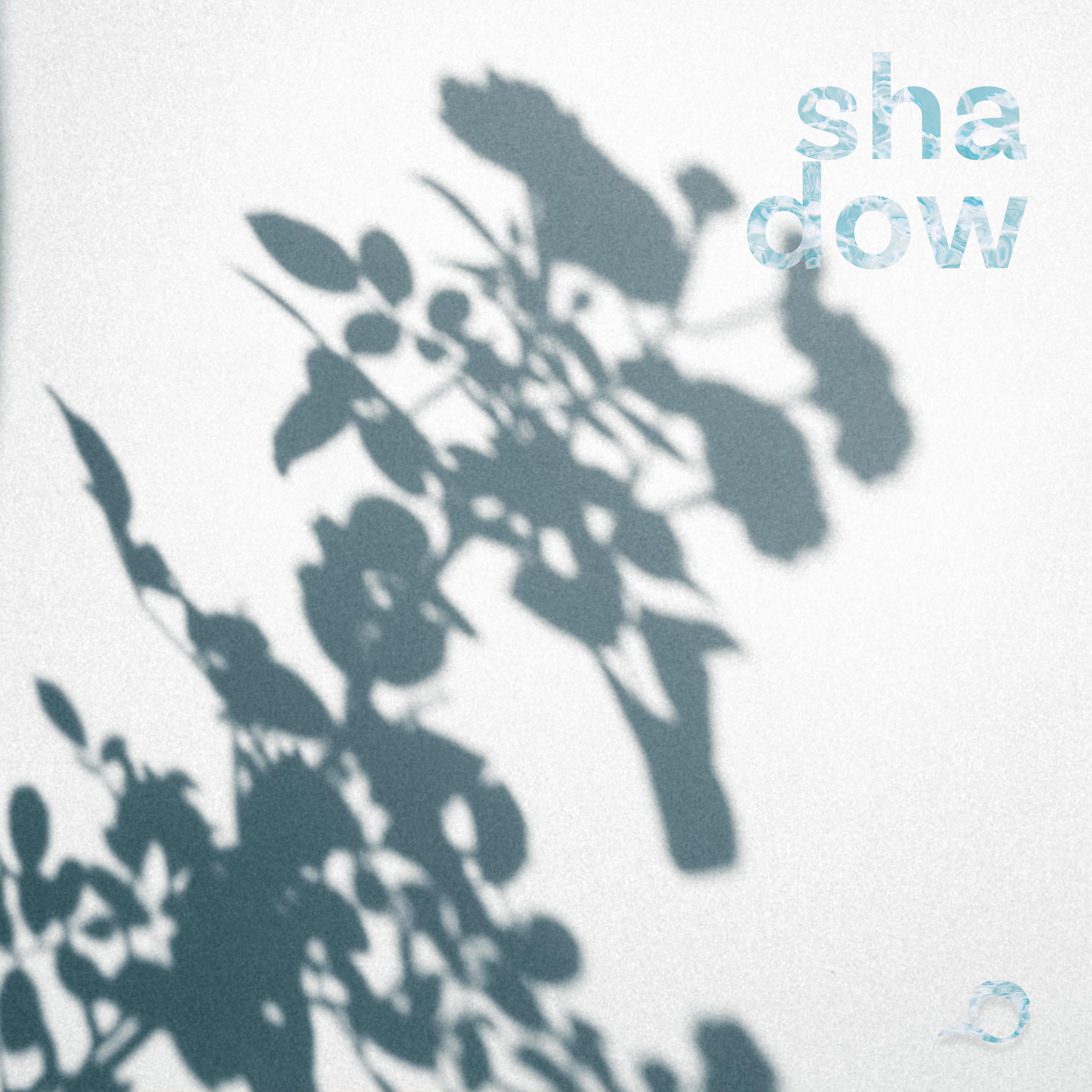 Постер альбома sha dow