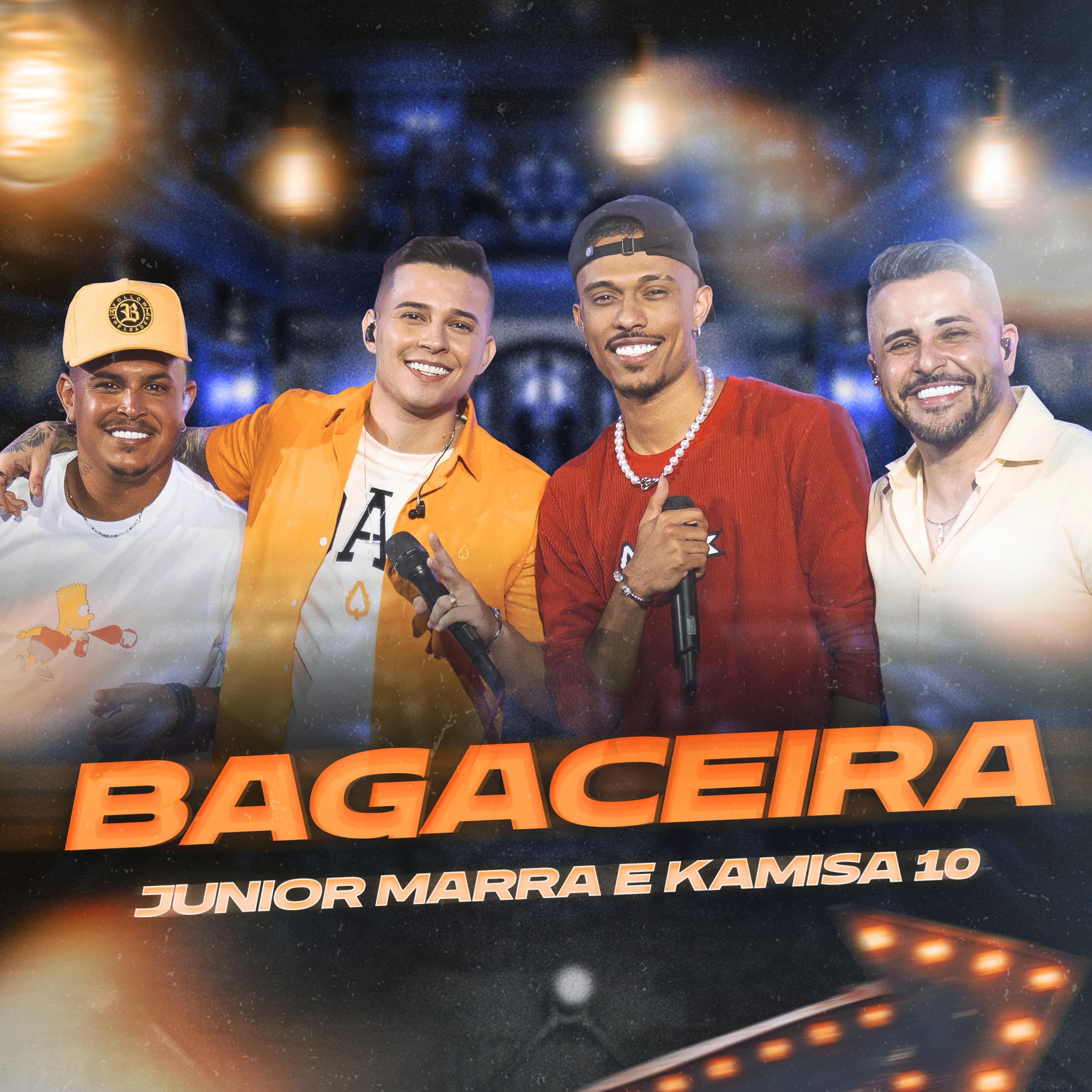 Постер альбома Bagaceira