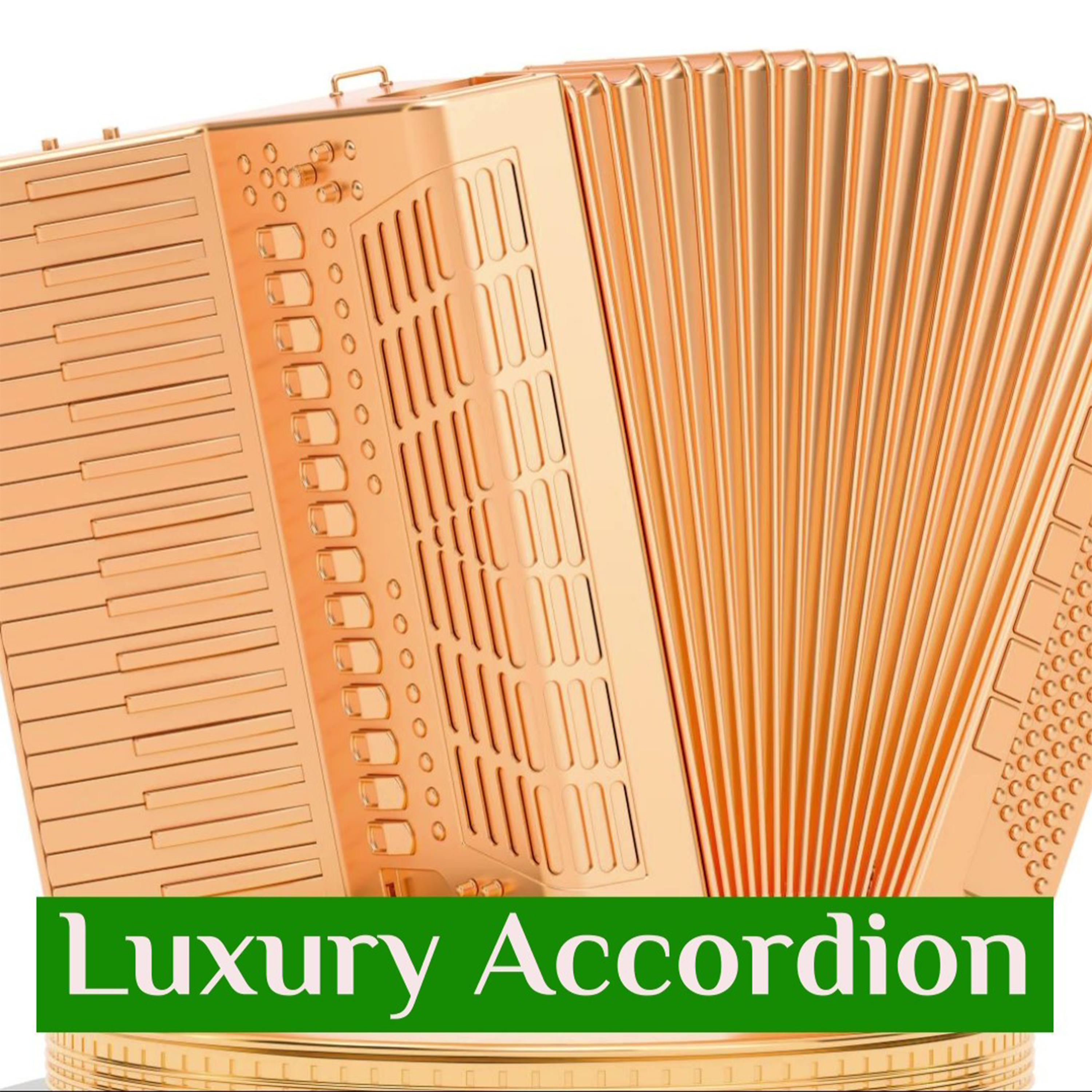 Постер альбома Luxury accordion