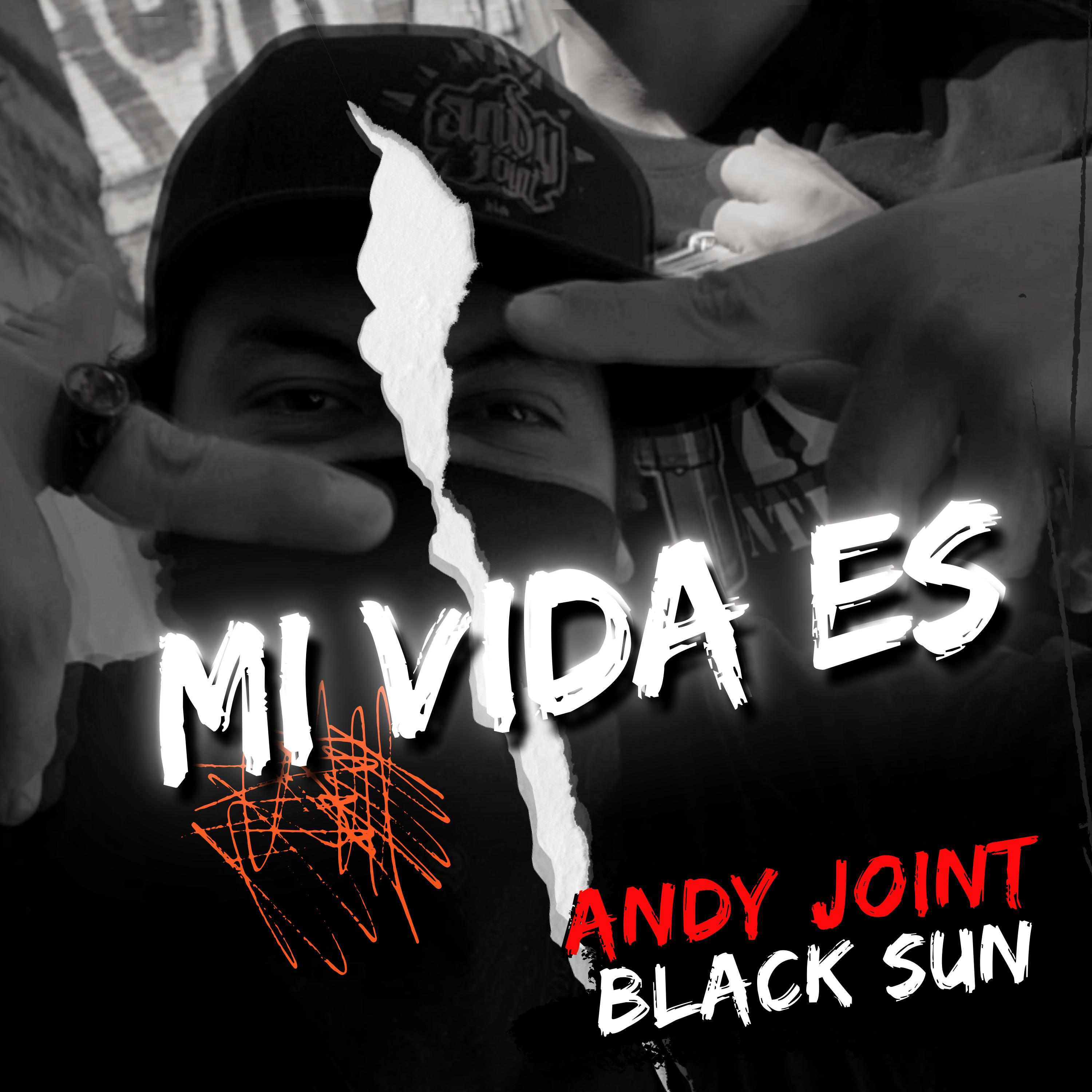 Постер альбома Mi Vida Es