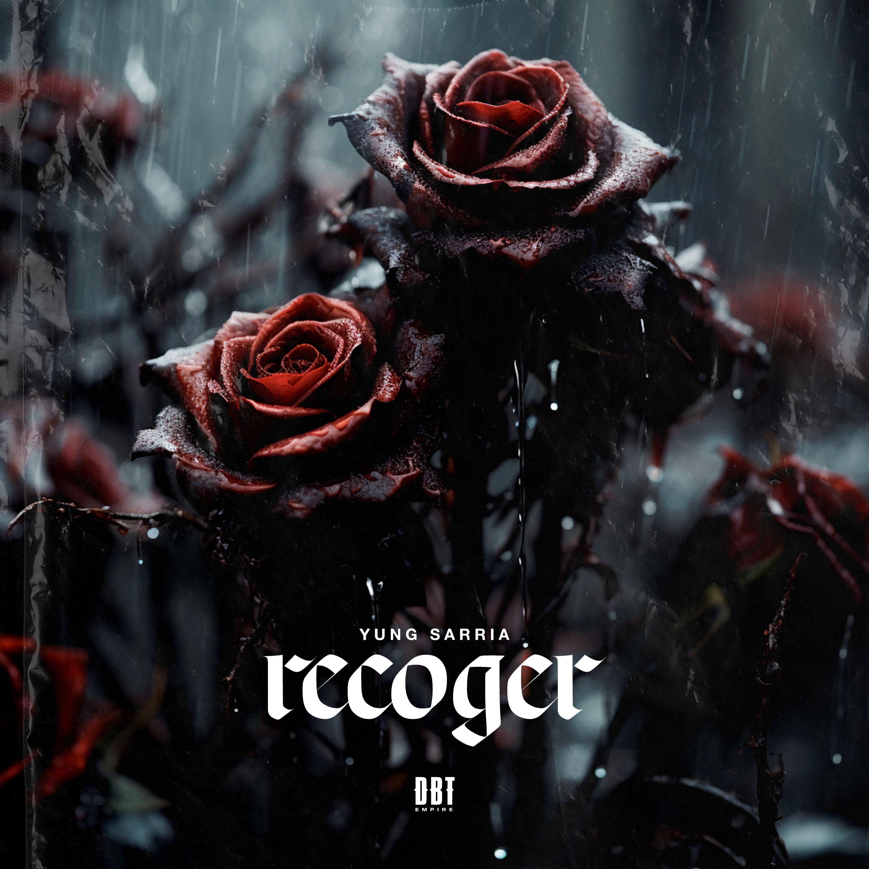 Постер альбома Recoger