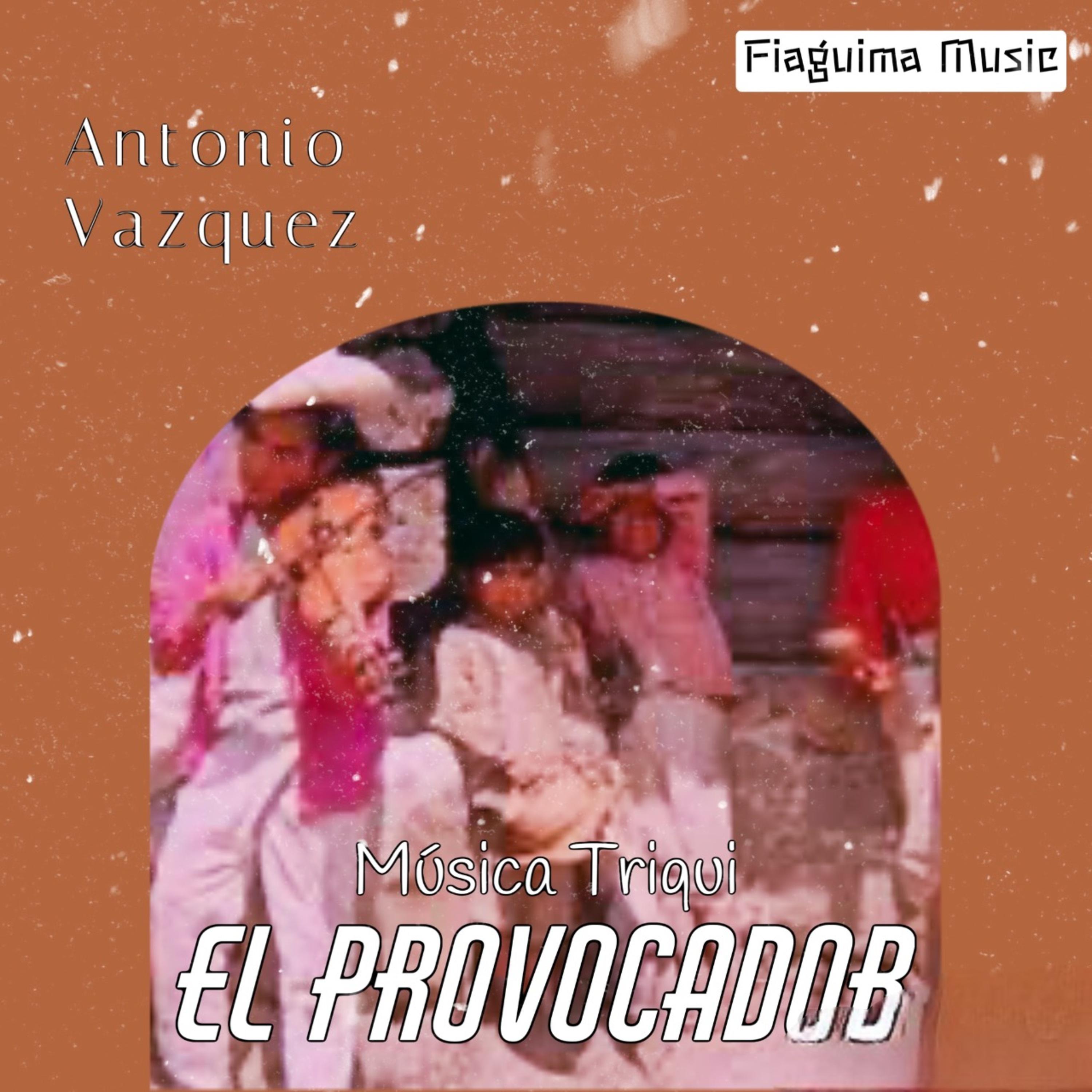 Постер альбома Música Triqui (El Provocador)